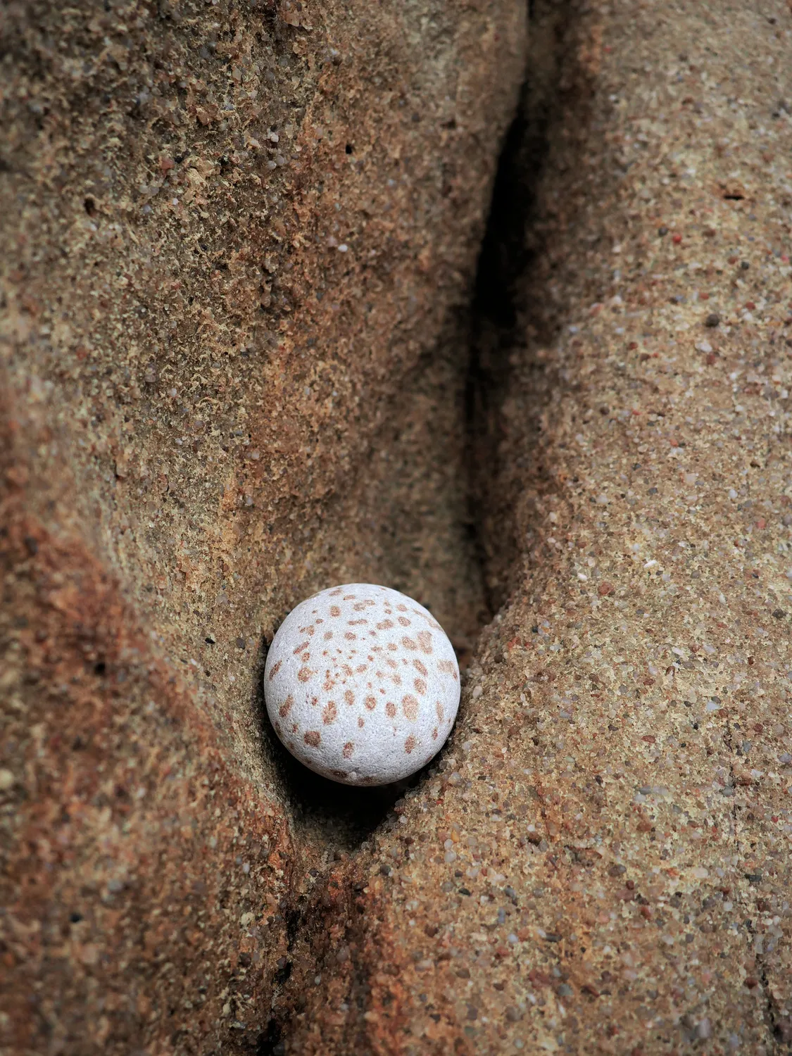 Il profondo è la pelle