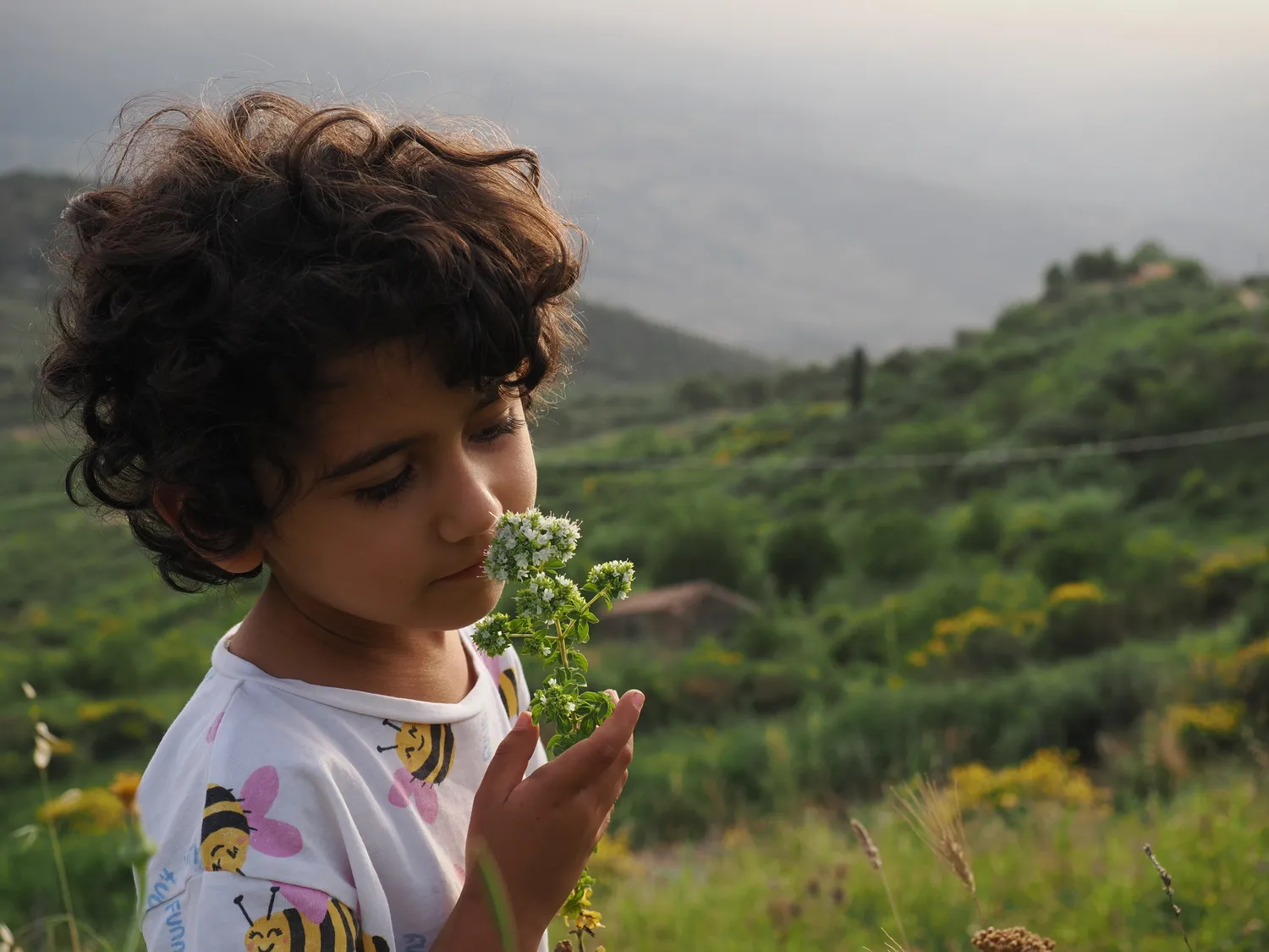 OROS GANOS | Splendore della montagna