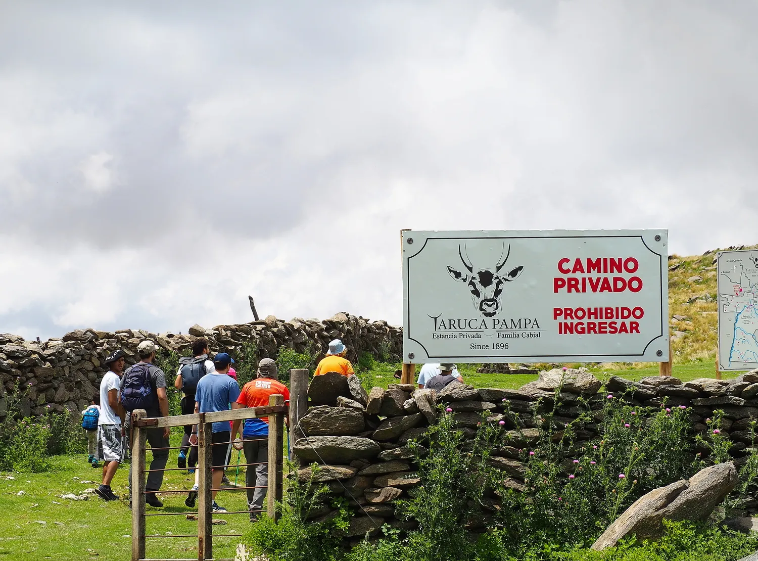 Taruca Pampa | Sierra de Córdoba, Argentina