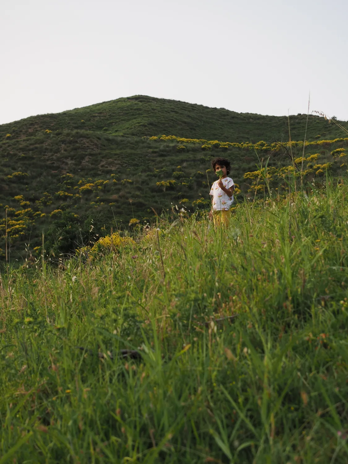 OROS GANOS | Splendore della montagna