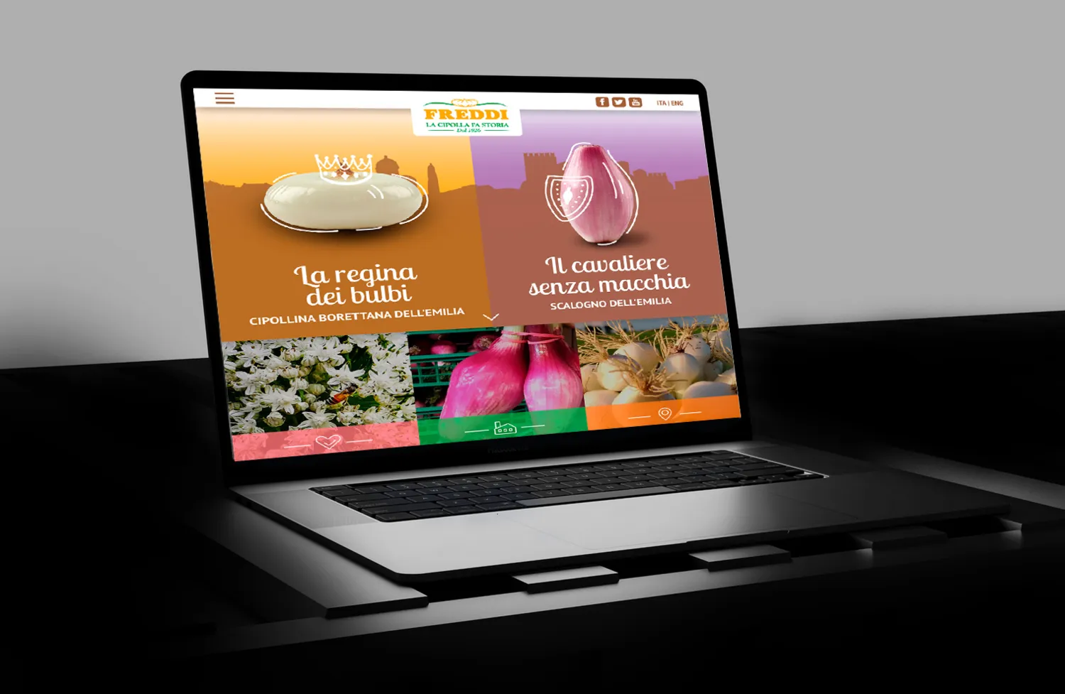 Freddi | Identità visiva