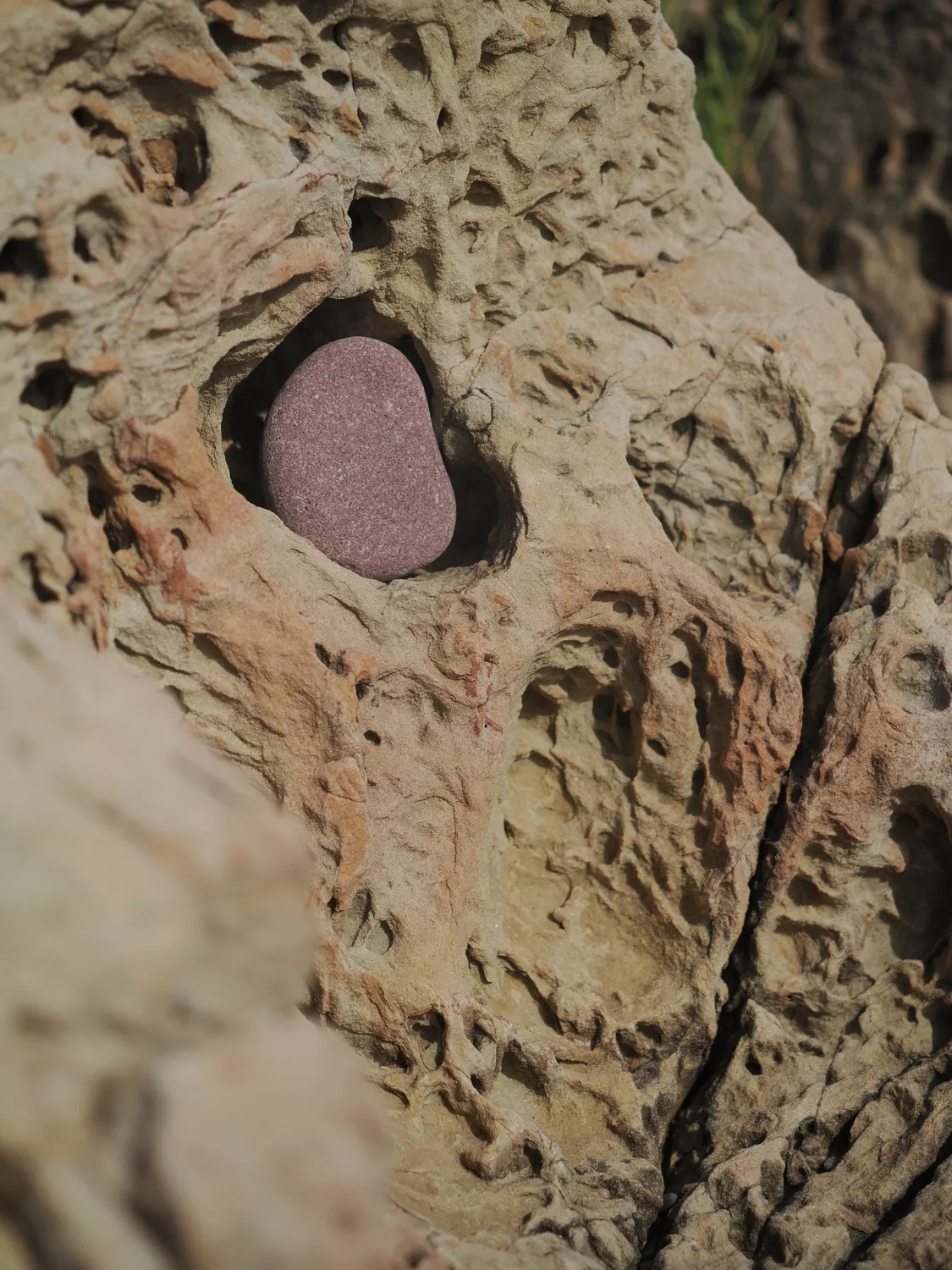 Il profondo è la pelle