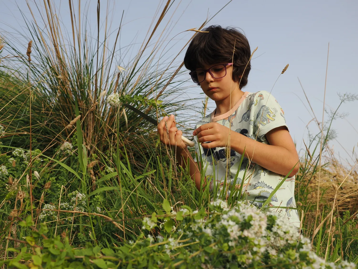 OROS GANOS | Splendore della montagna