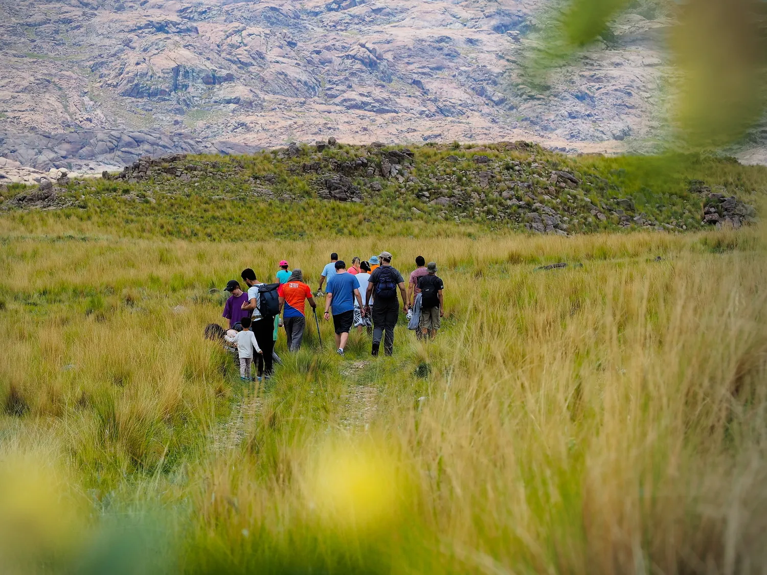 Taruca Pampa | Sierra de Córdoba, Argentina