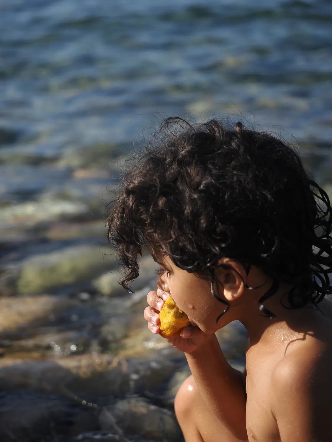 Fichi d'india al mare