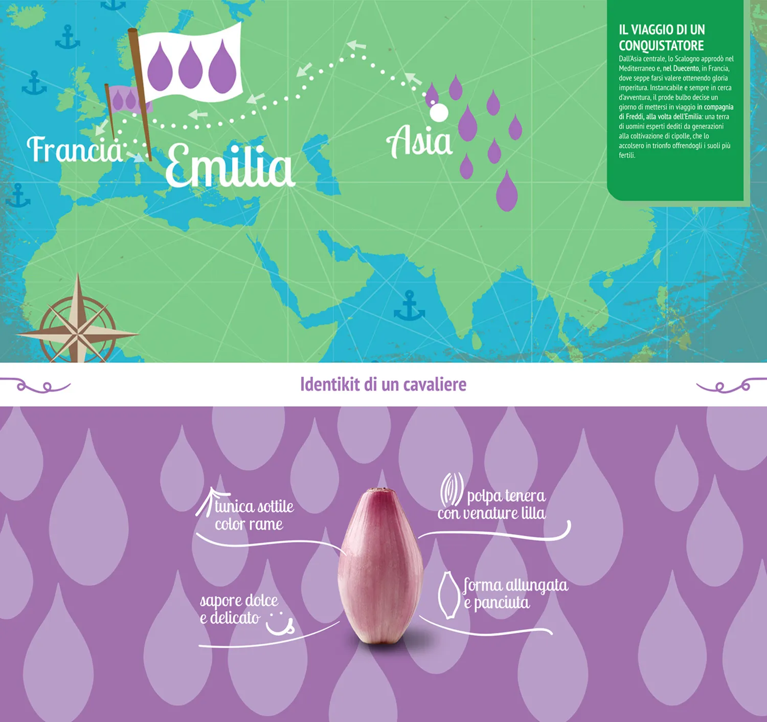 Freddi | Identità visiva