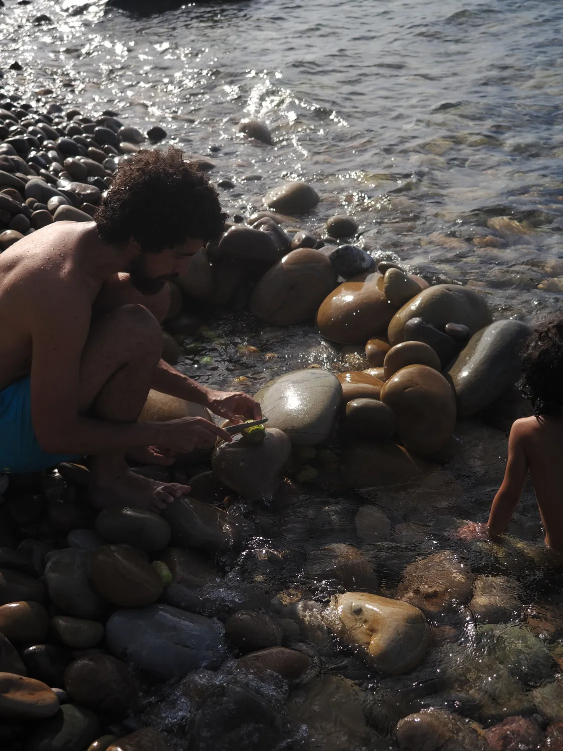 Fichi d'india al mare