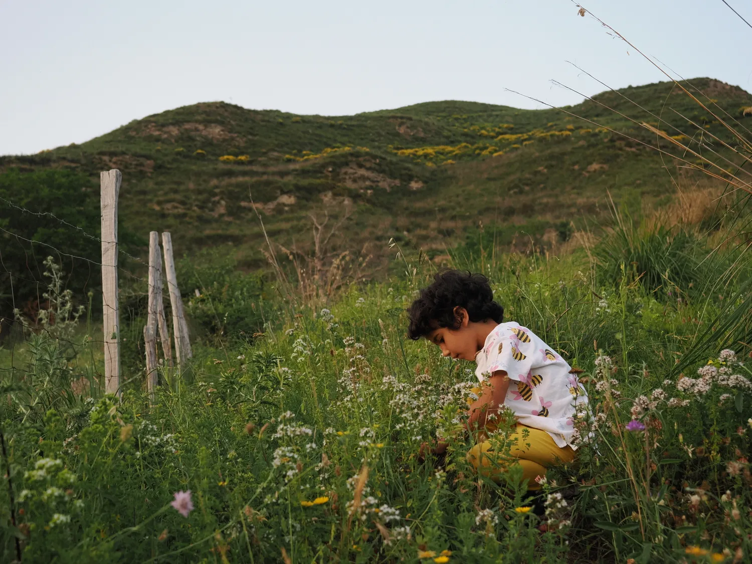OROS GANOS | Splendore della montagna
