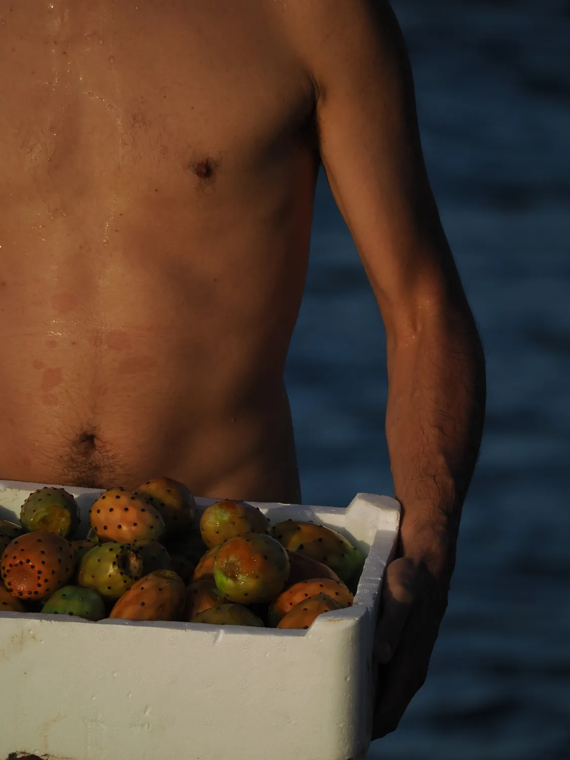 Fichi d'india al mare