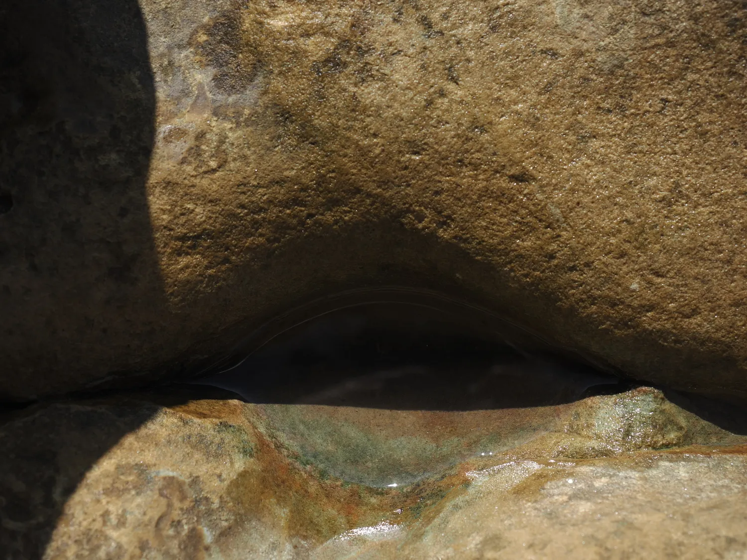 Il profondo è la pelle