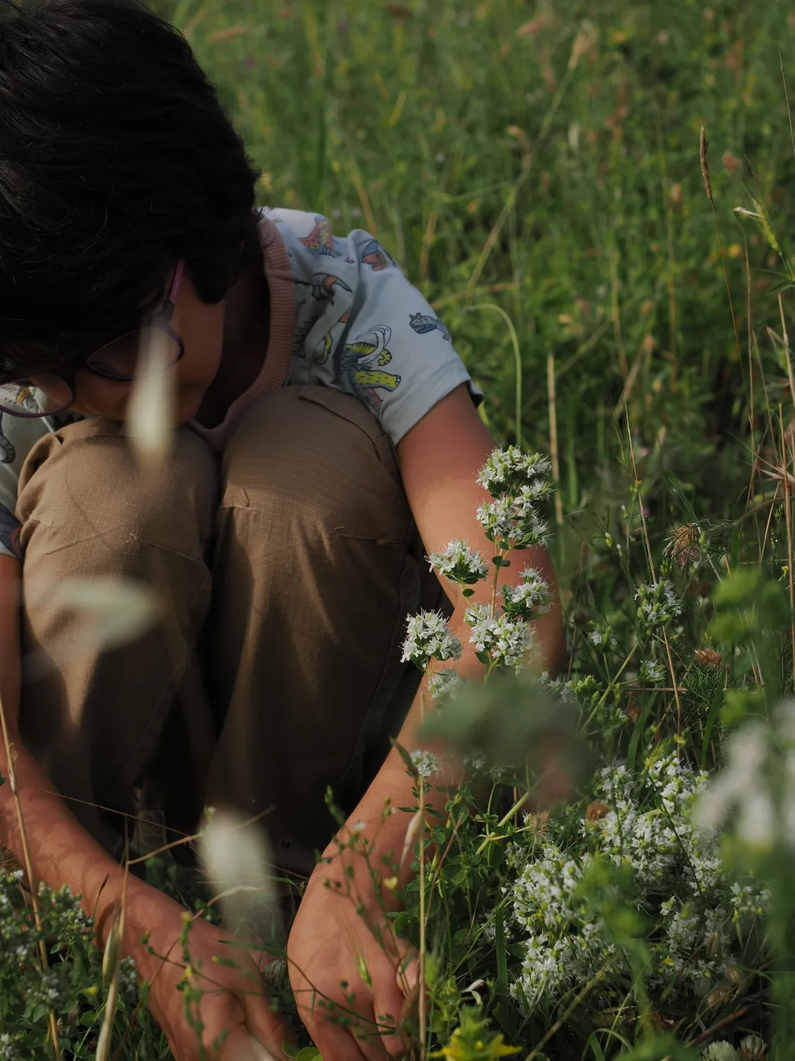 OROS GANOS | Splendore della montagna