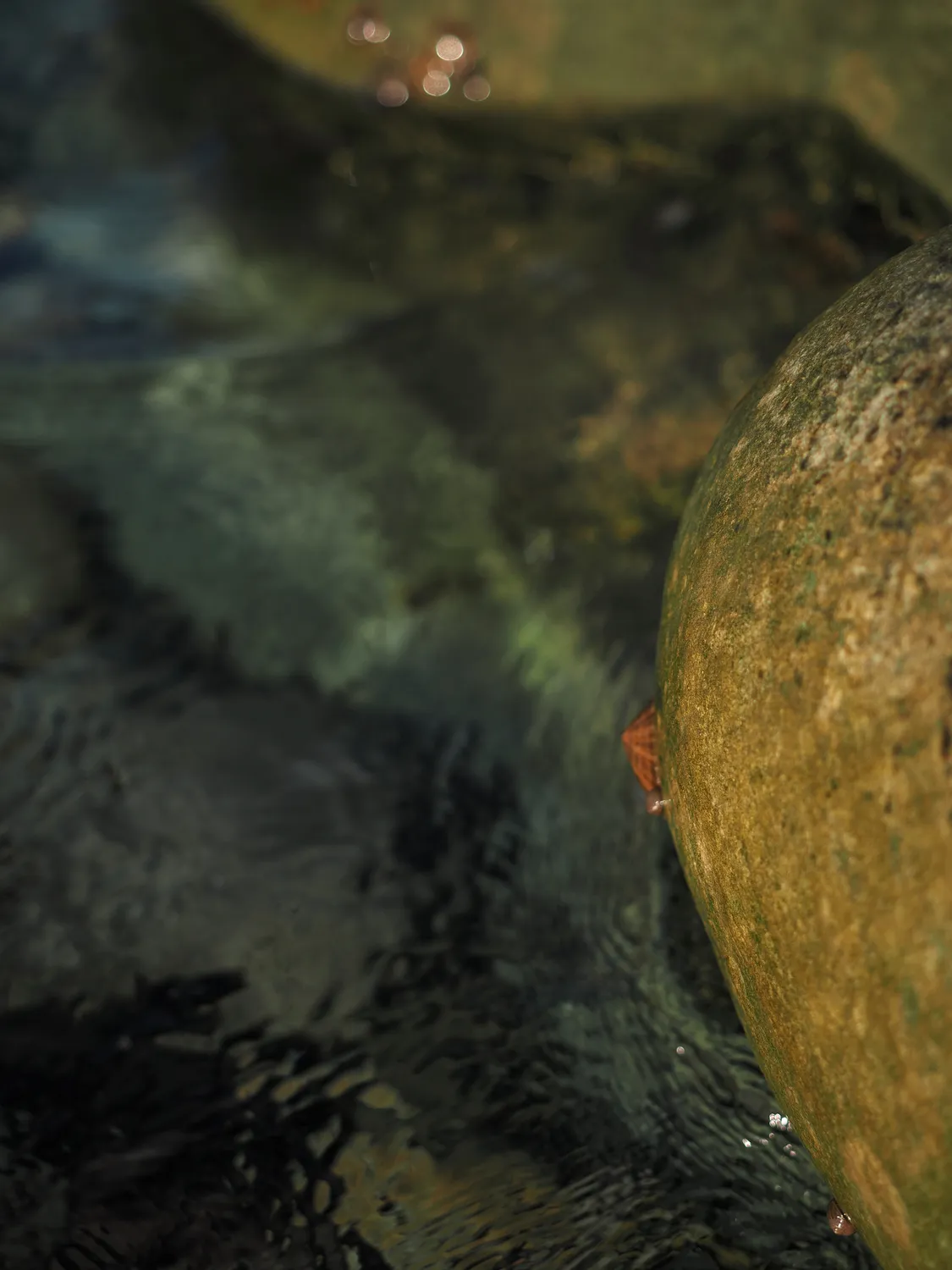 Il profondo è la pelle