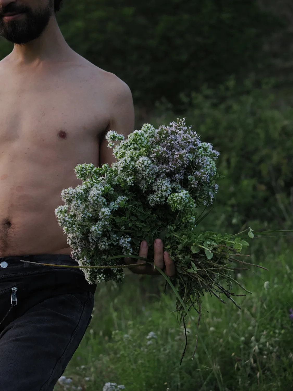 OROS GANOS | Splendore della montagna