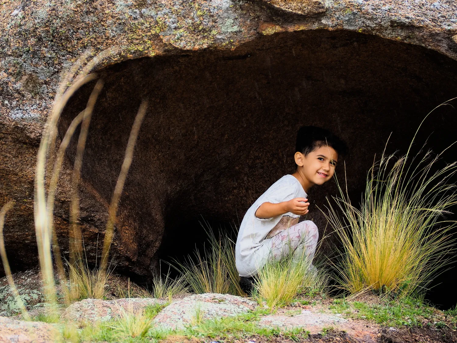 Taruca Pampa | Sierra de Córdoba, Argentina