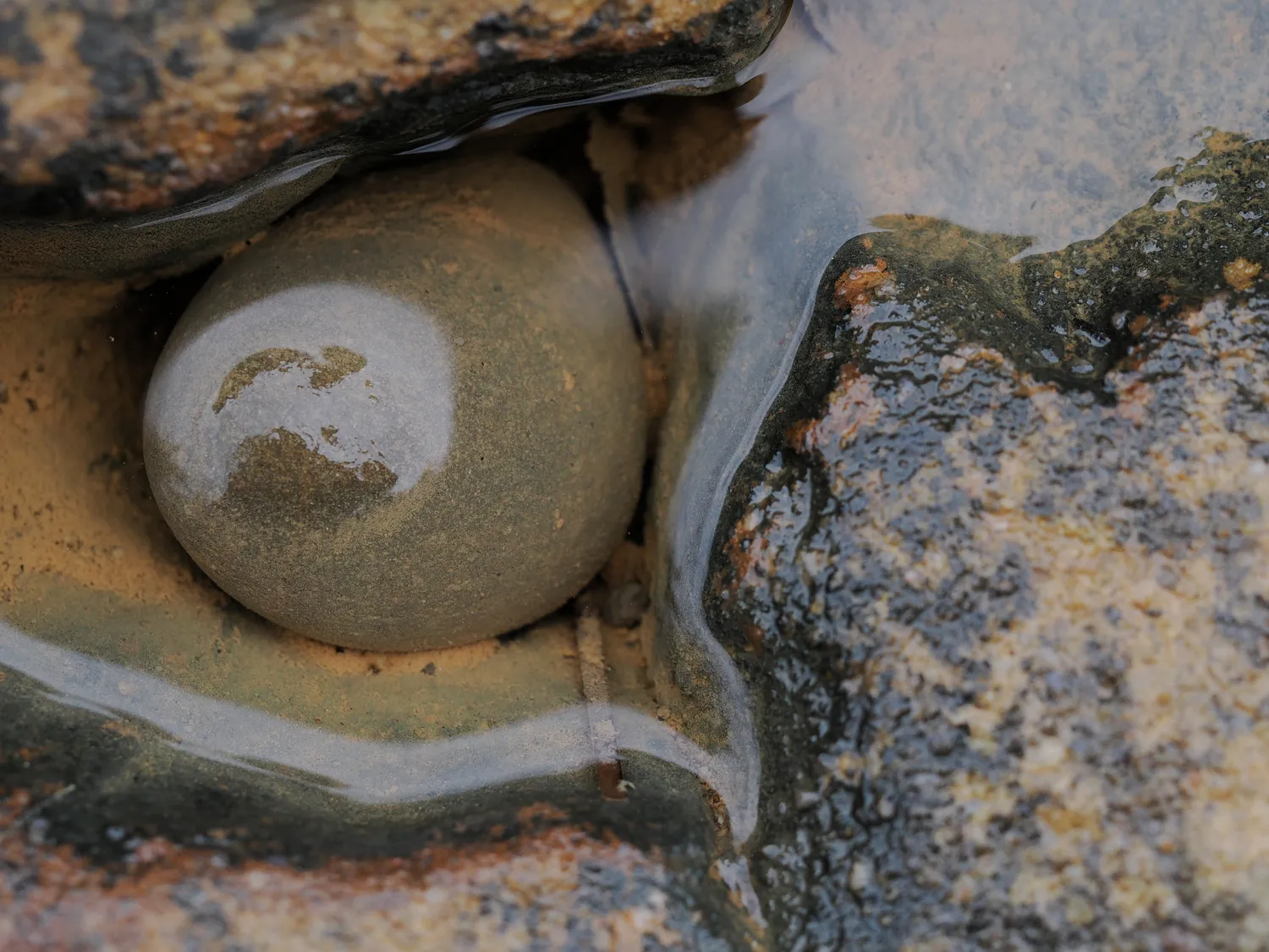 Il profondo è la pelle