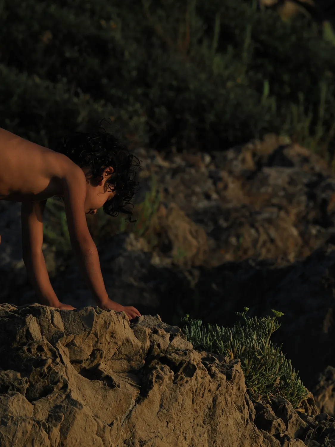 Fichi d'india al mare