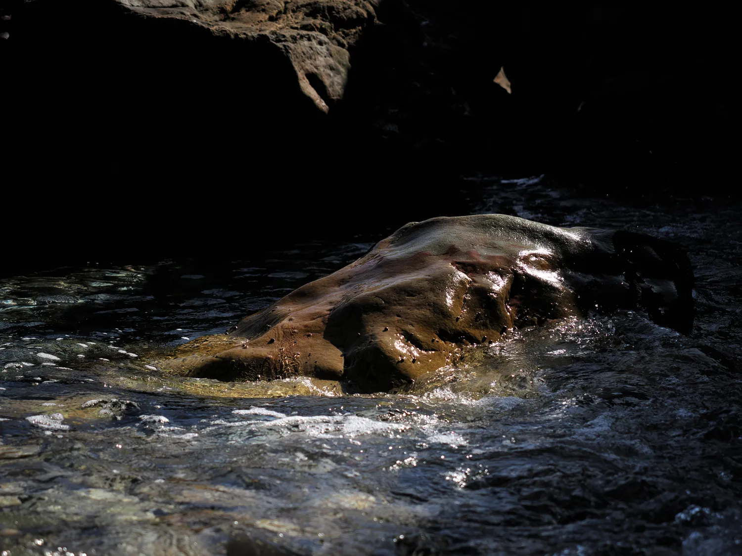 Il profondo è la pelle