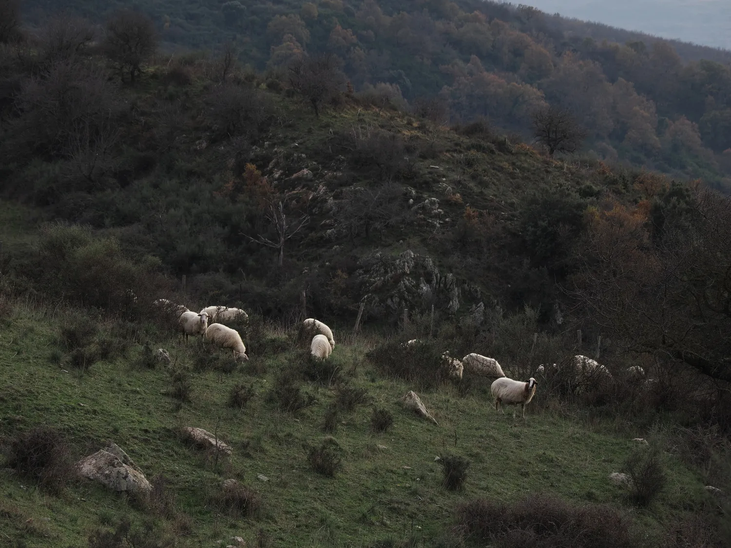 La Pampa di Tagghjavia