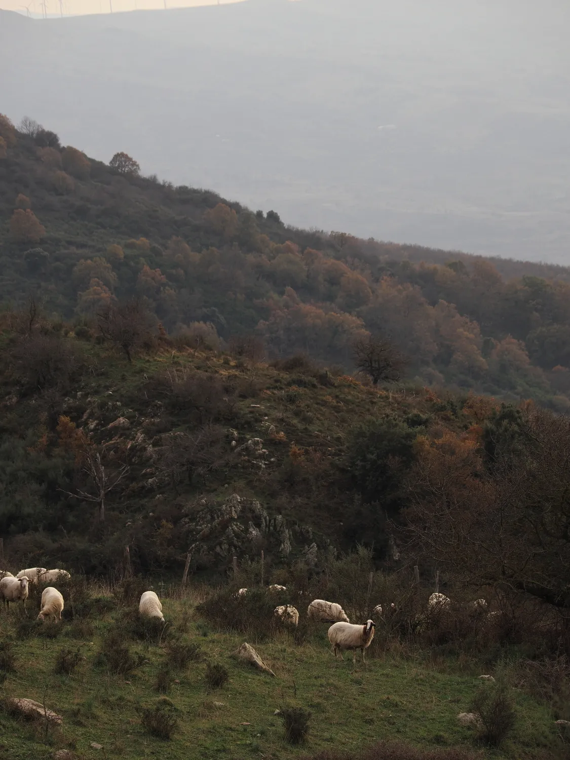 La Pampa di Tagghjavia