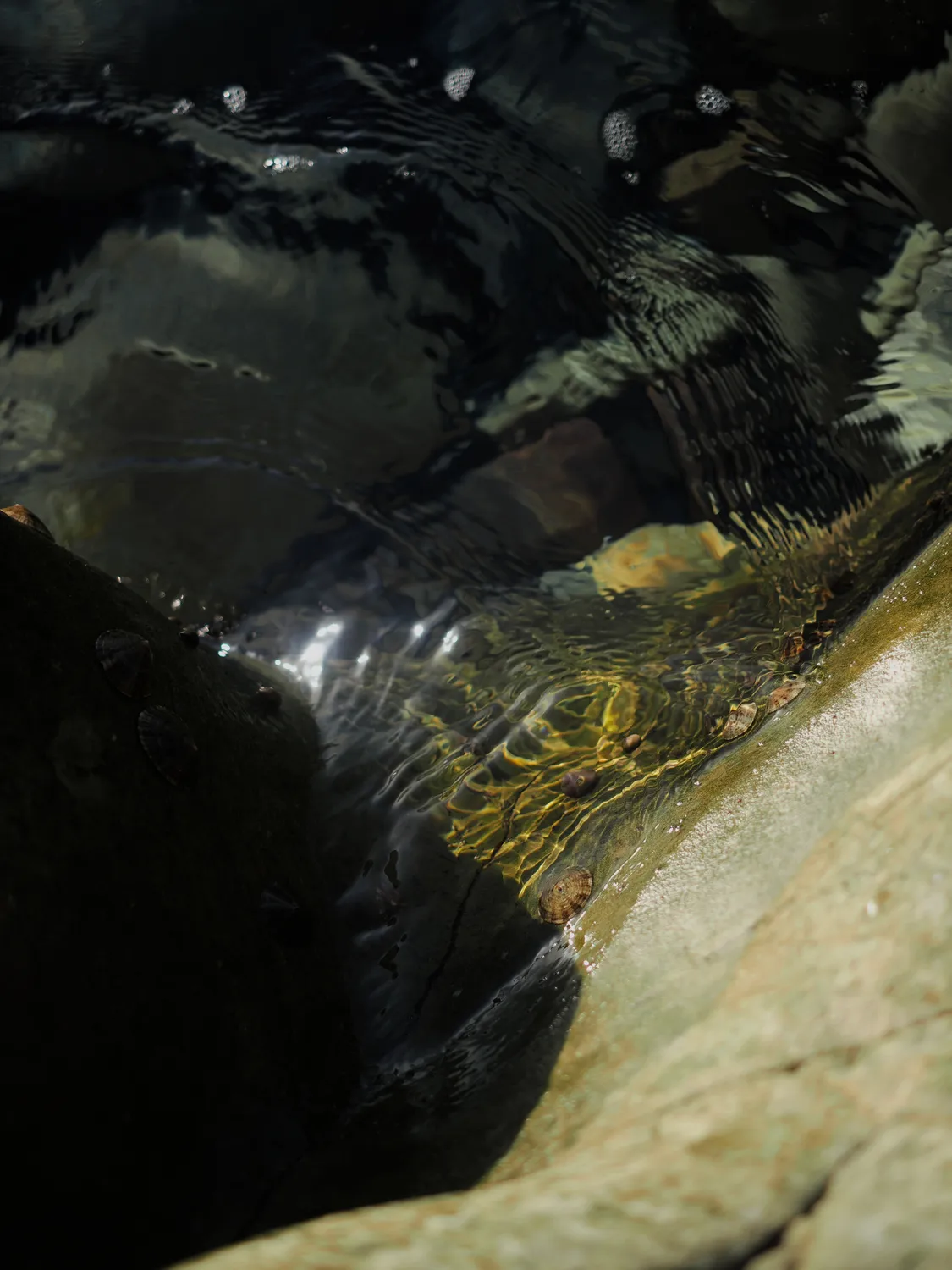 Il profondo è la pelle