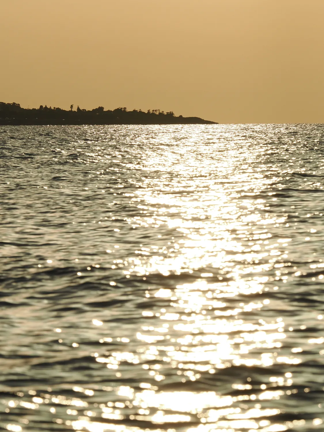 Fichi d'india al mare