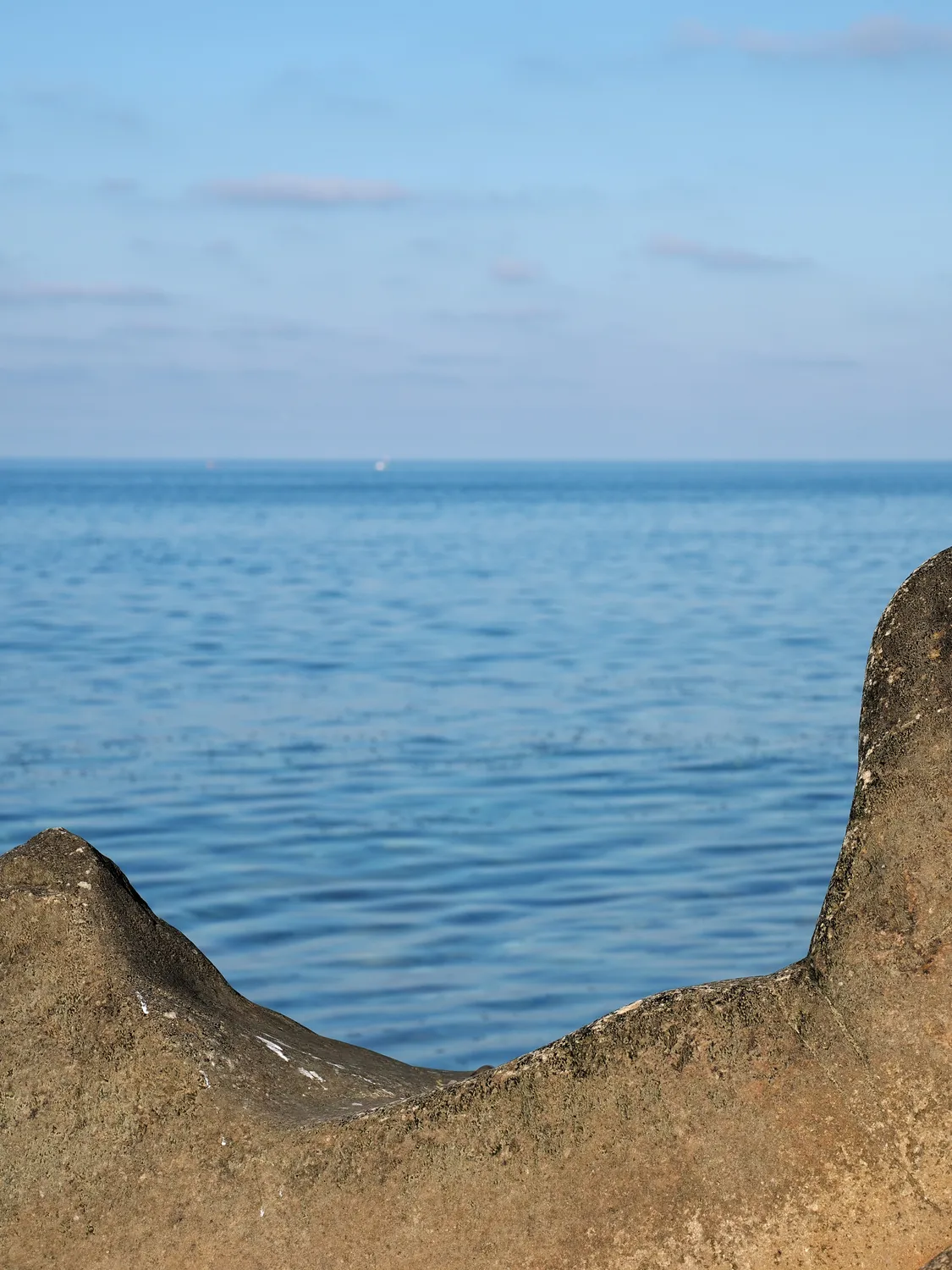 Il profondo è la pelle