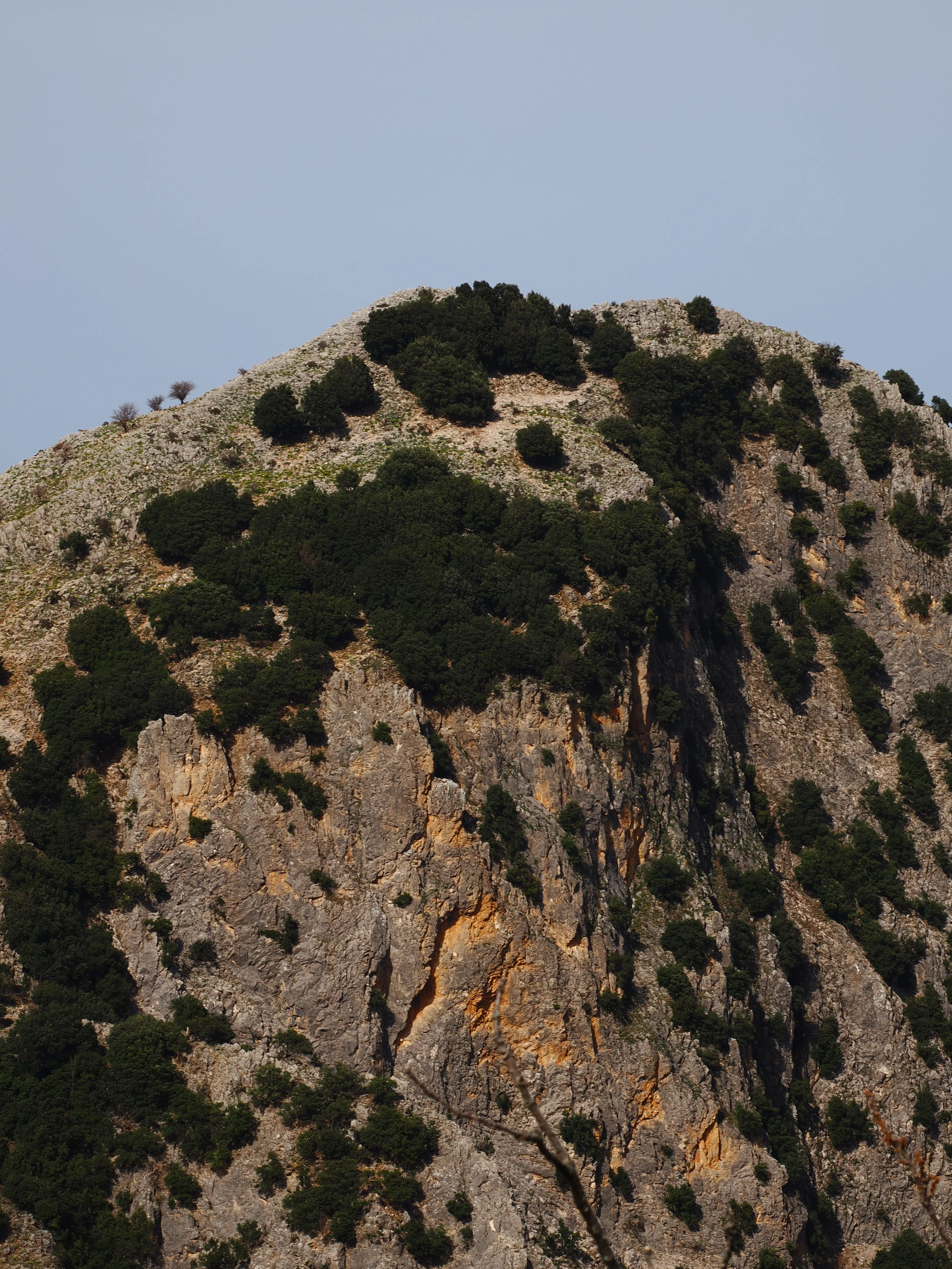 Dentro le Madonie con Matteo Orlando. Racconto visivo tra bellezza e mutamento