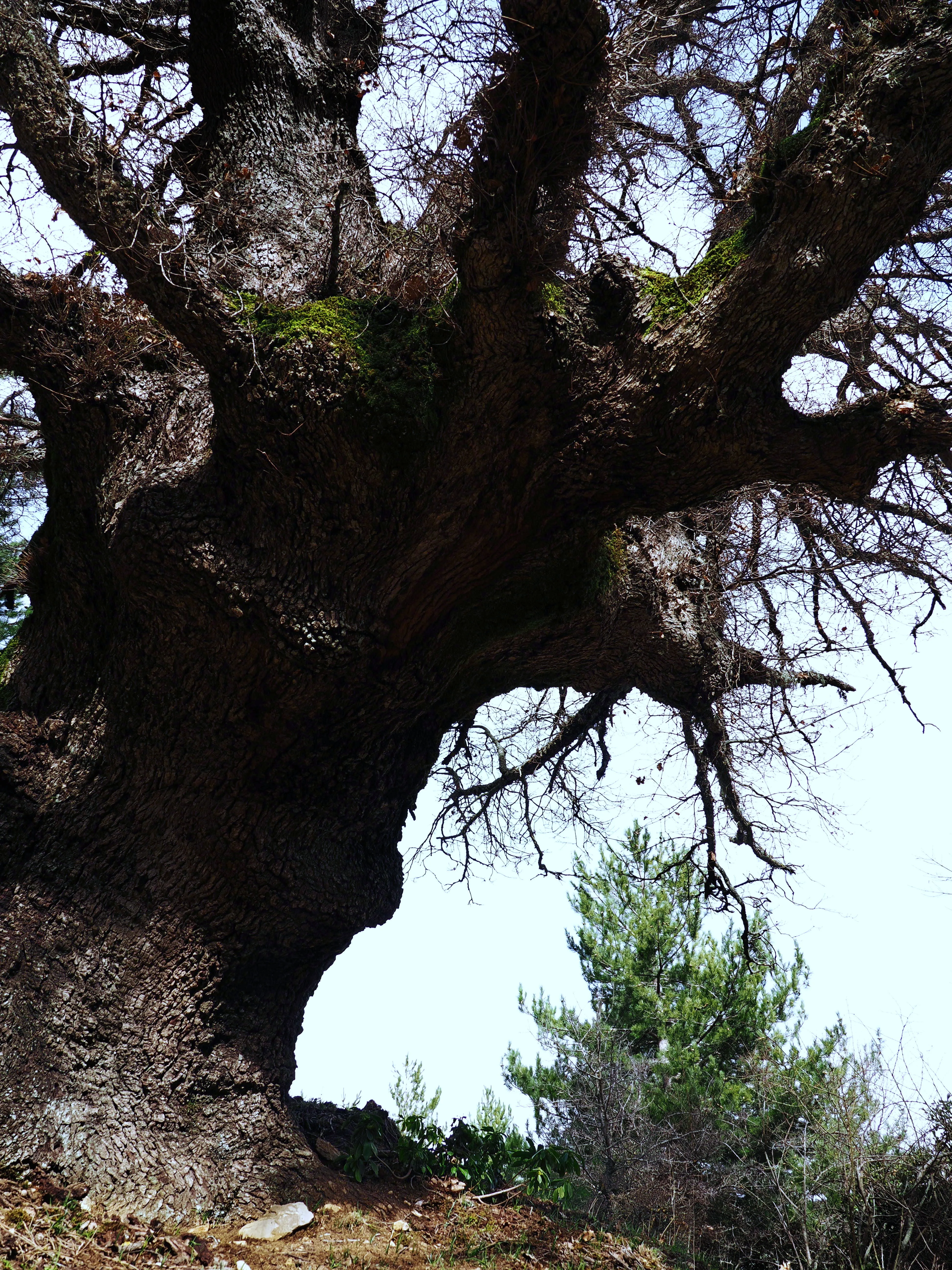 Dentro le Madonie con Matteo Orlando. Racconto visivo tra bellezza e mutamento