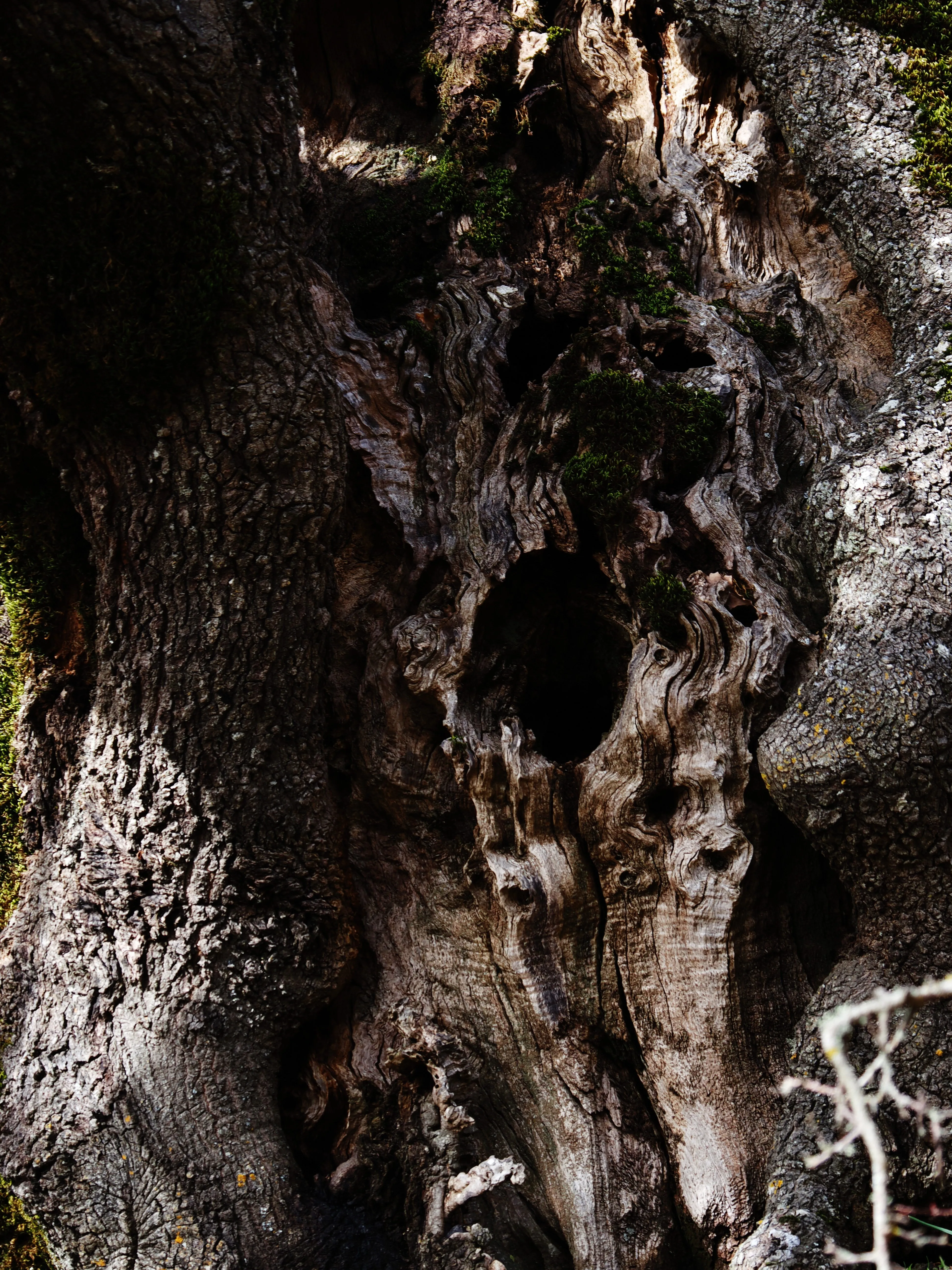 Dentro le Madonie con Matteo Orlando. Racconto visivo tra bellezza e mutamento