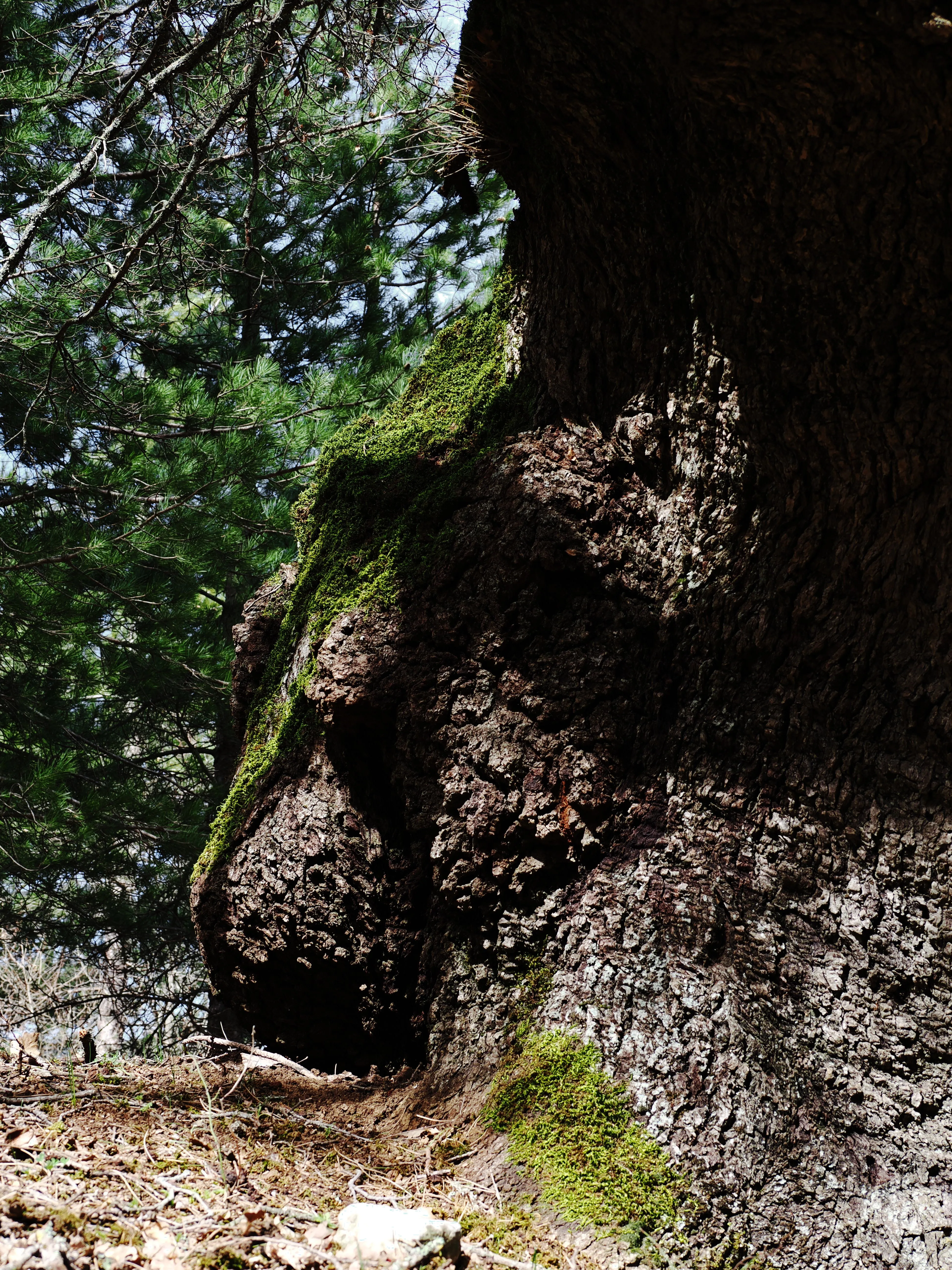 Dentro le Madonie con Matteo Orlando. Racconto visivo tra bellezza e mutamento
