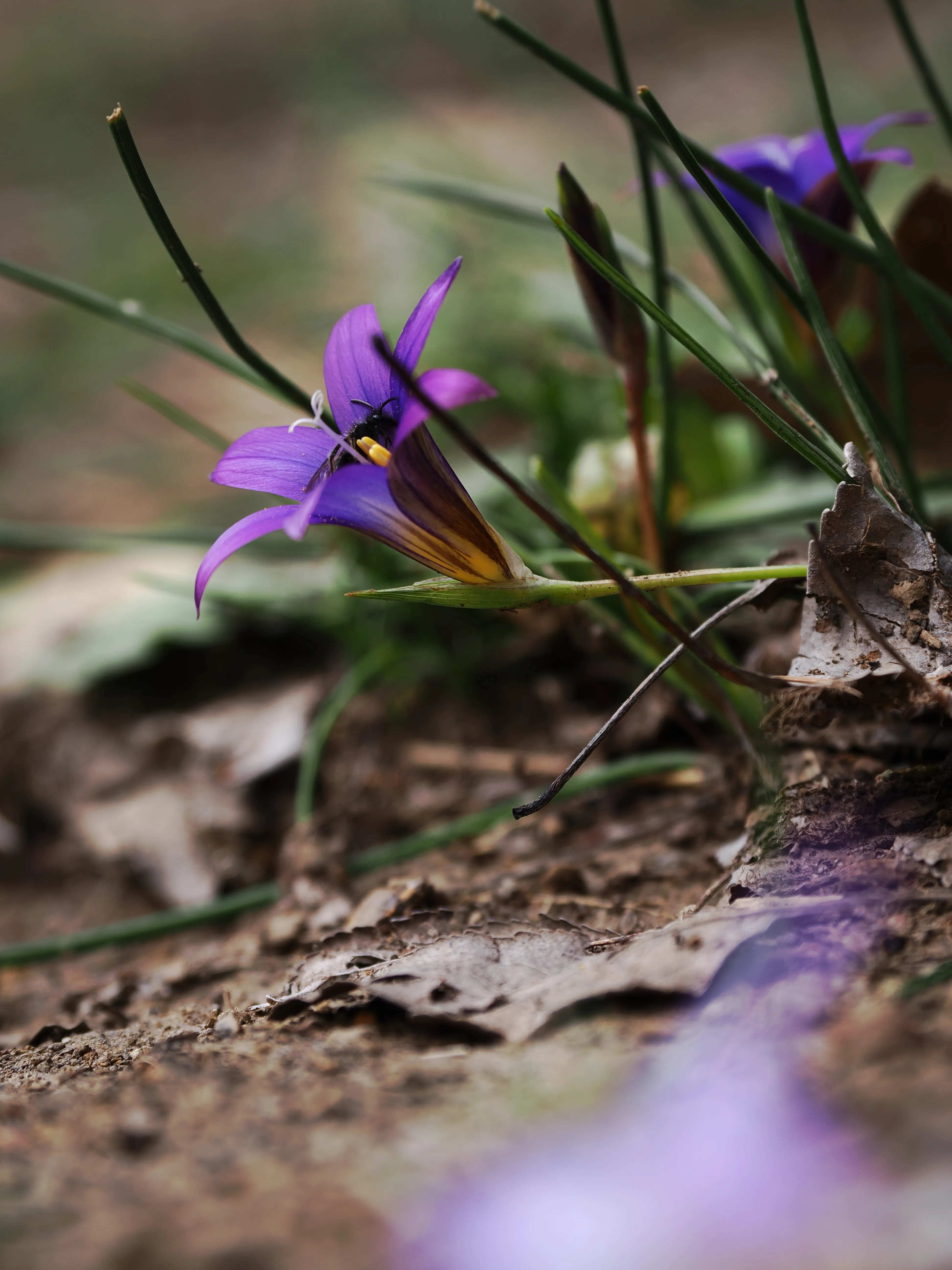 Dentro le Madonie con Matteo Orlando. Racconto visivo tra bellezza e mutamento