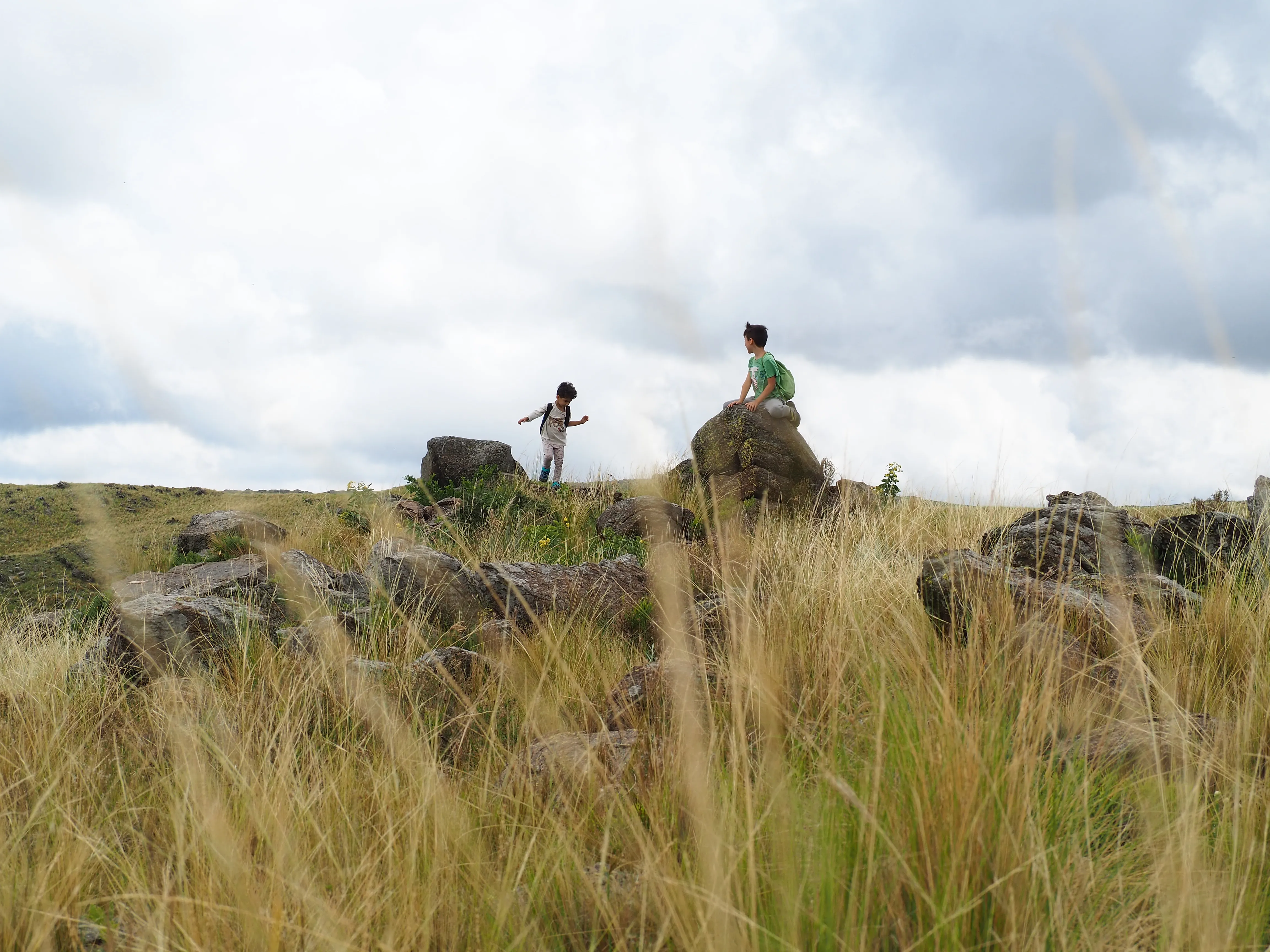 Dwelling in Nature with Olympus