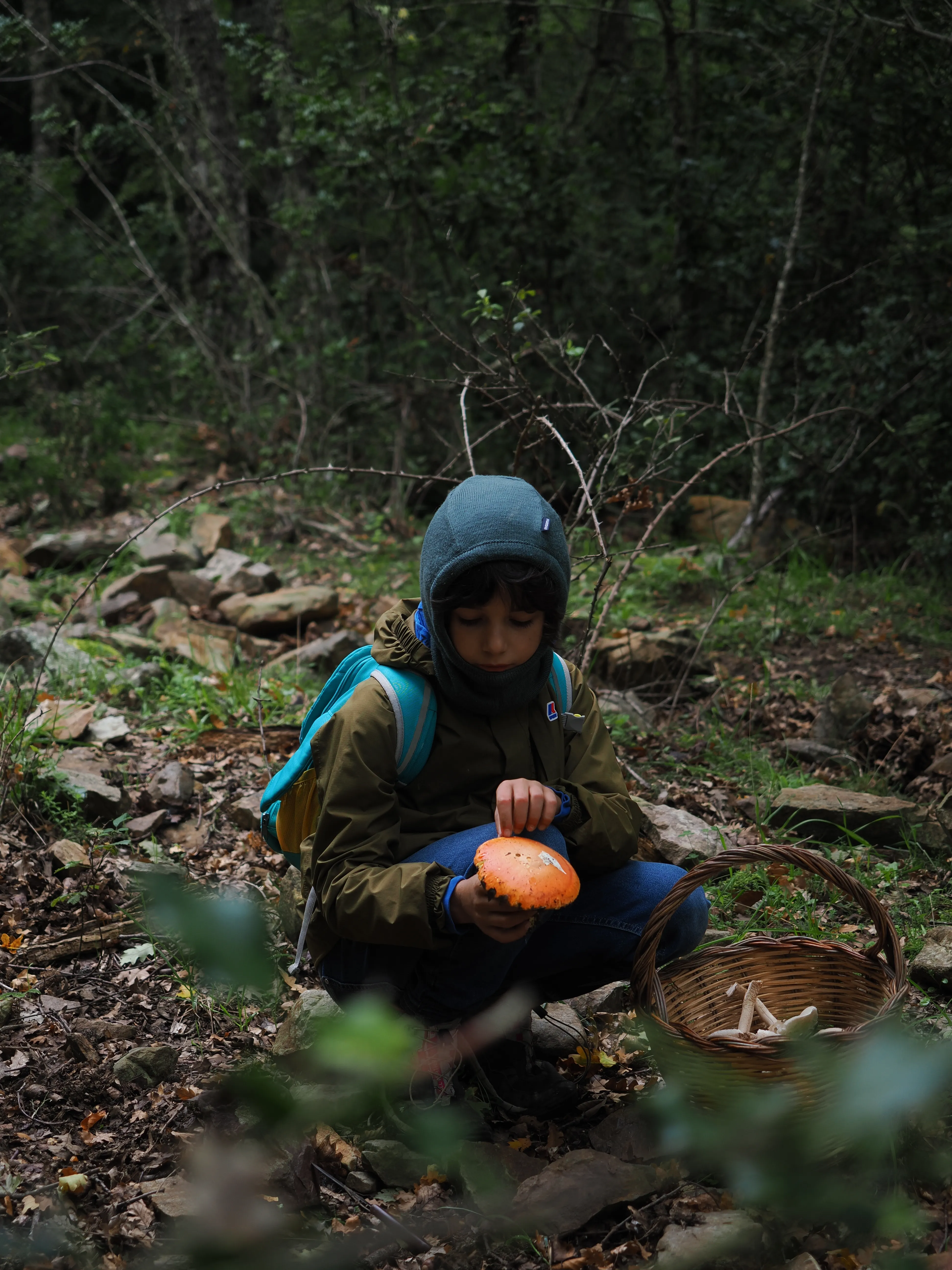 Miconauti. La gioia di esplorare il bosco