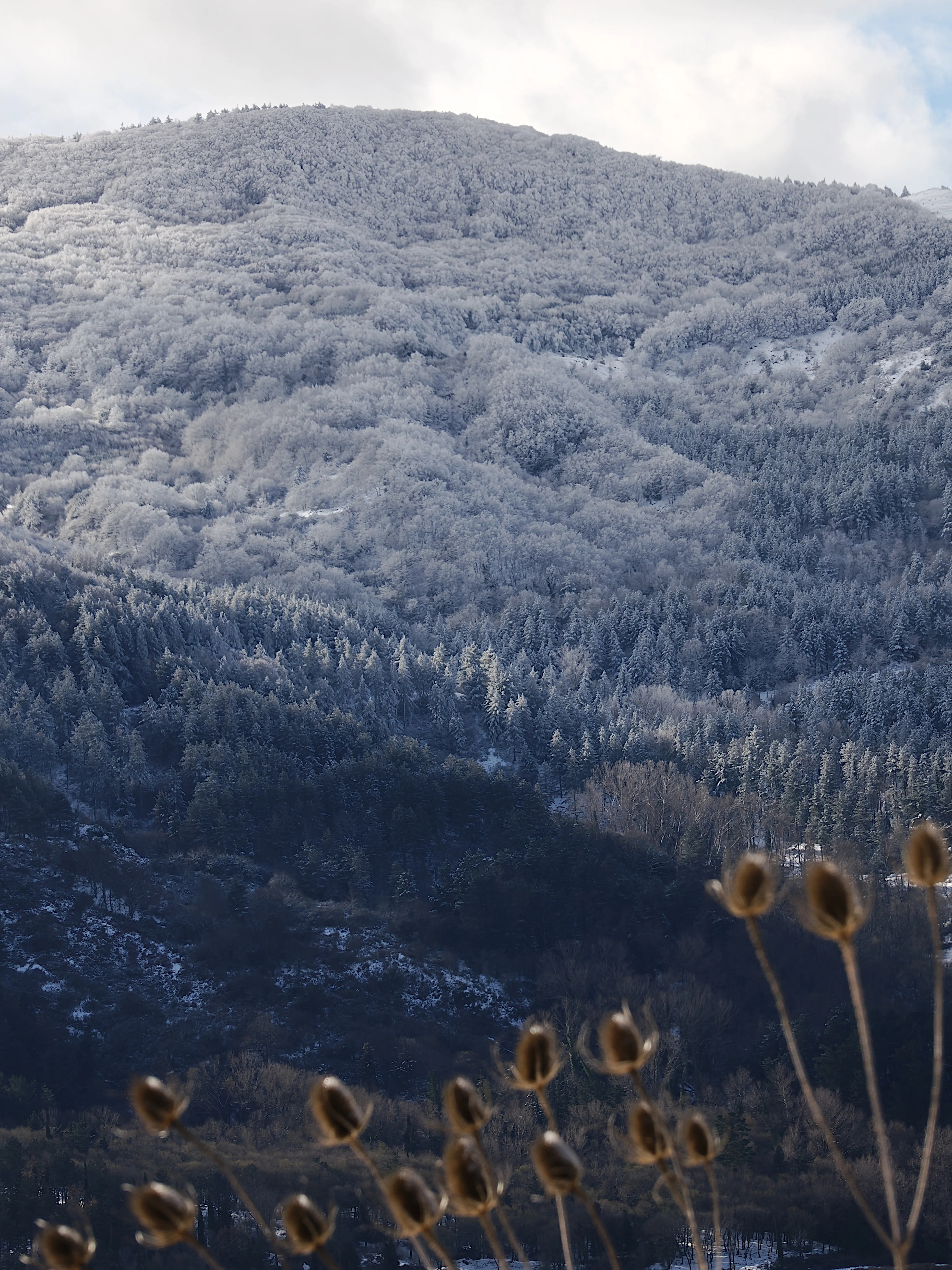 Strati di neve e libertà