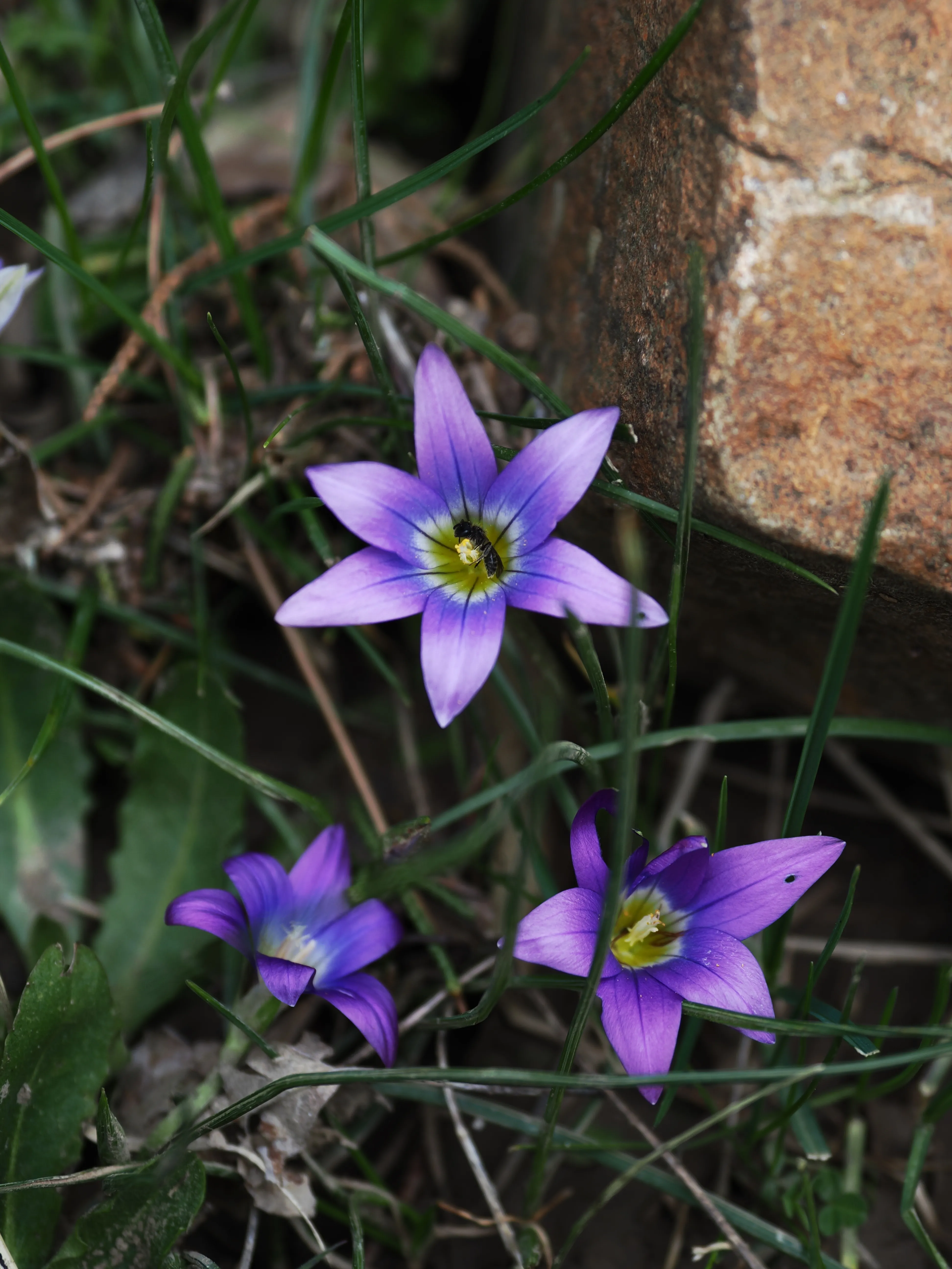 Dentro le Madonie con Matteo Orlando. Racconto visivo tra bellezza e mutamento