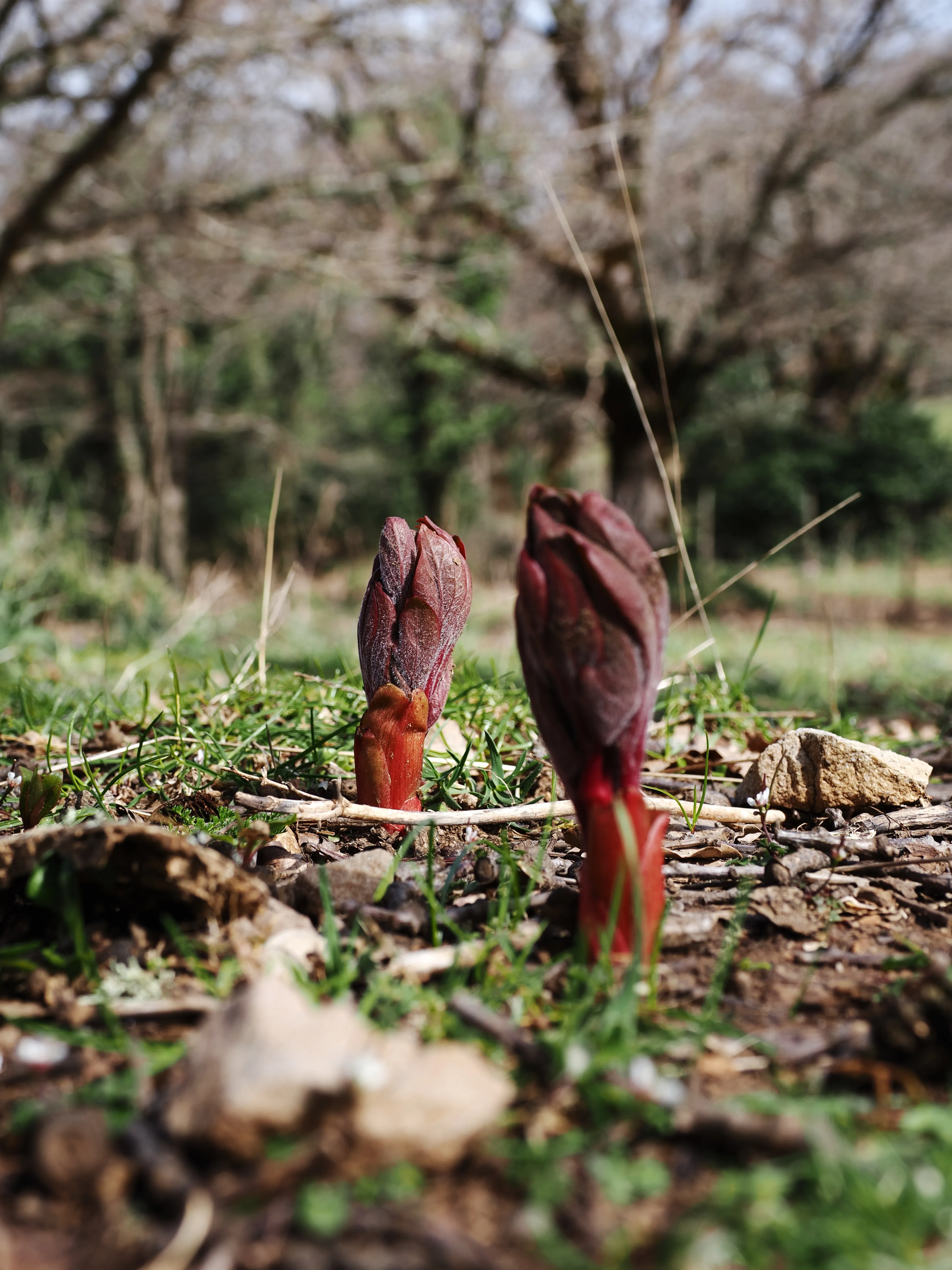Dentro le Madonie con Matteo Orlando. Racconto visivo tra bellezza e mutamento