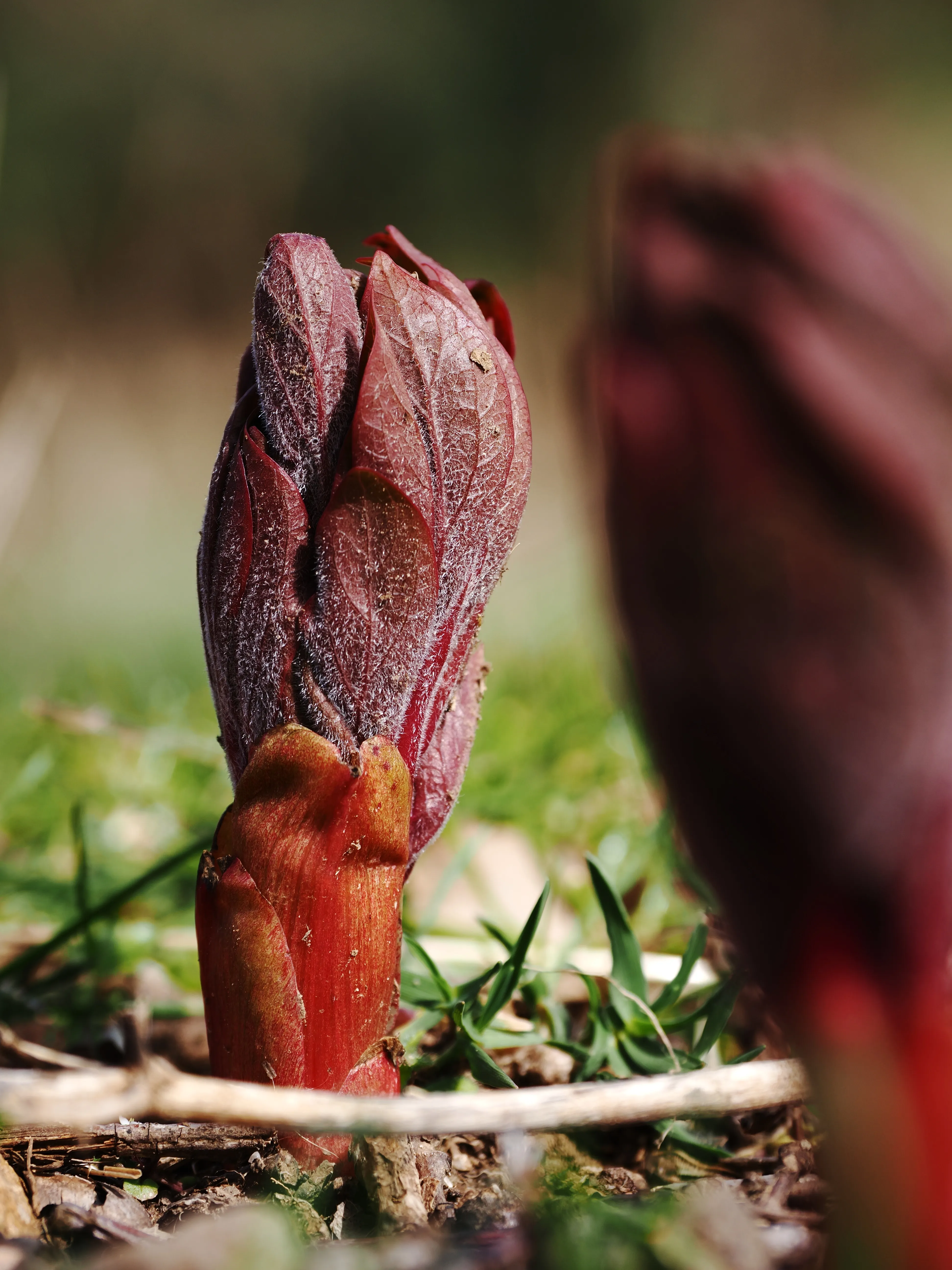Dentro le Madonie con Matteo Orlando. Racconto visivo tra bellezza e mutamento