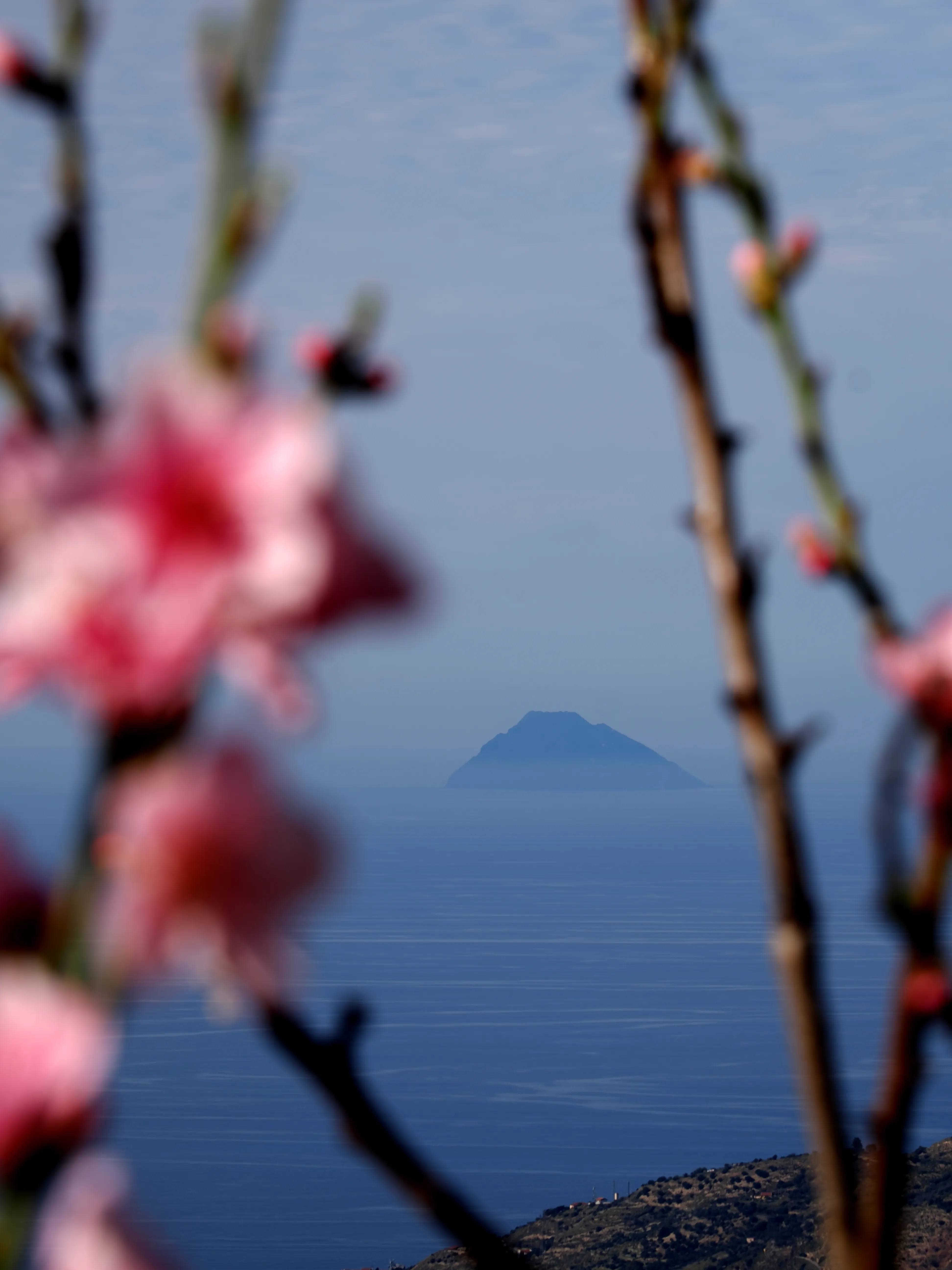 La primavera è voluttuosa