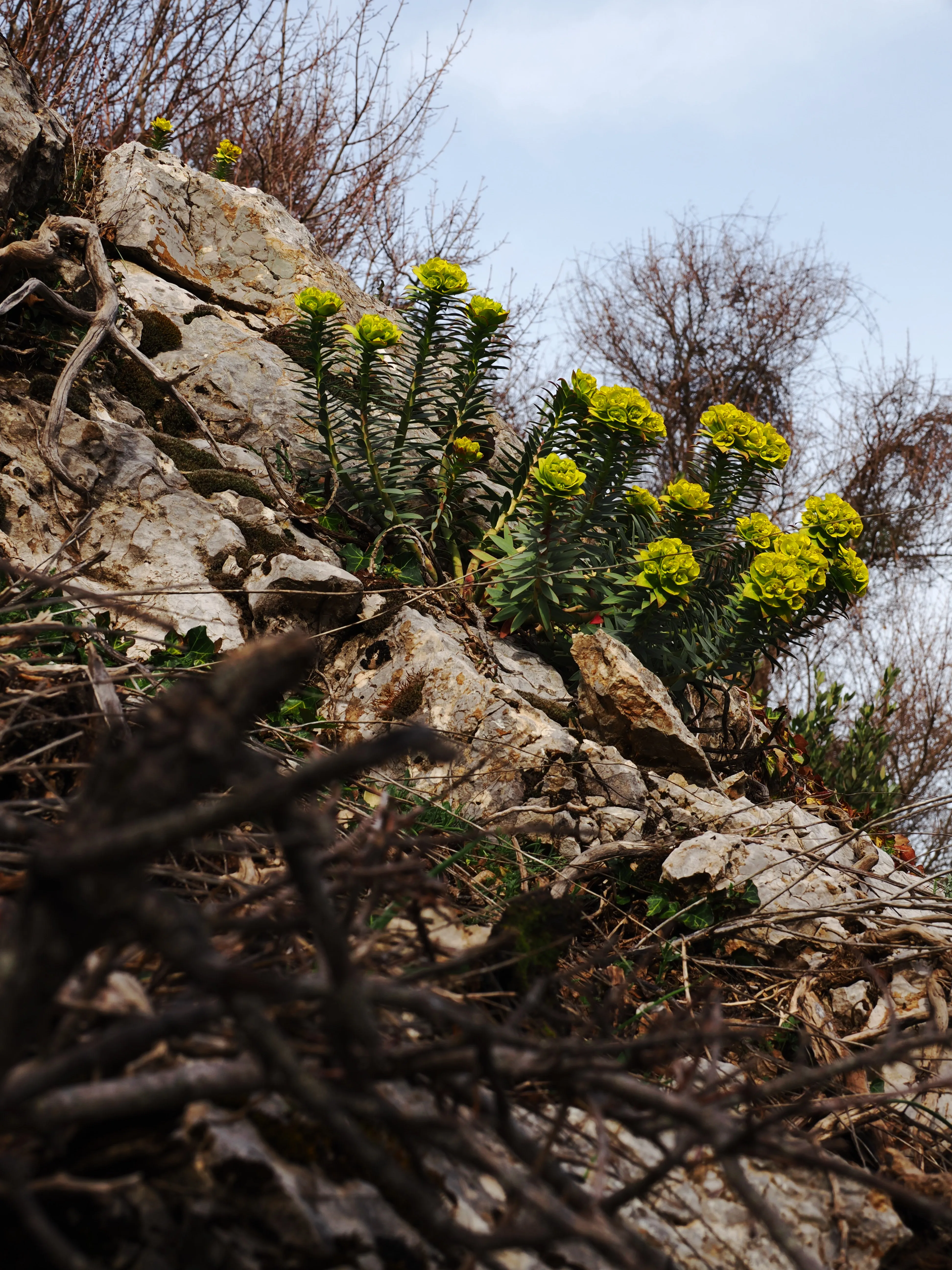 Dentro le Madonie con Matteo Orlando. Racconto visivo tra bellezza e mutamento
