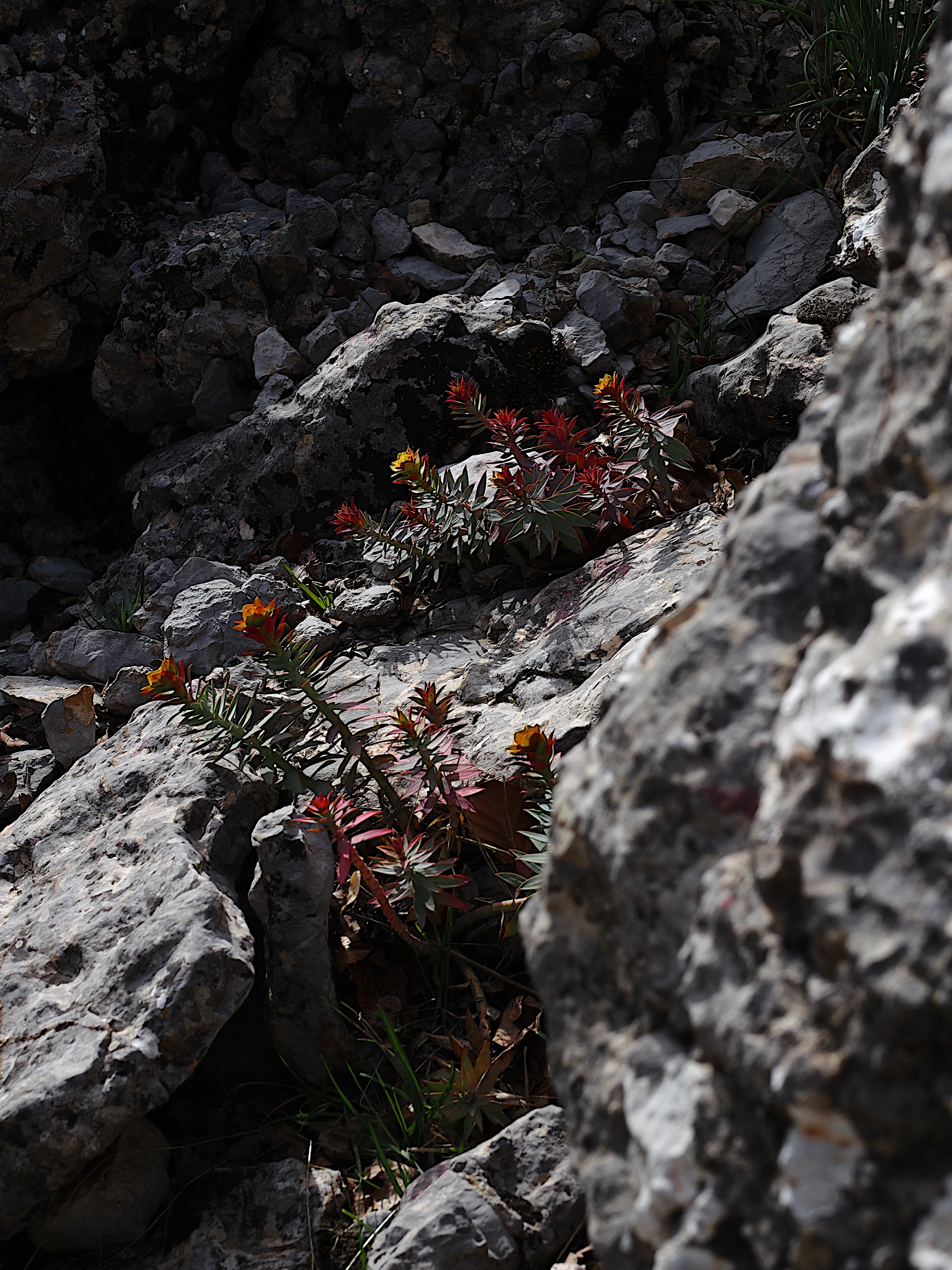 Dentro le Madonie con Matteo Orlando. Racconto visivo tra bellezza e mutamento