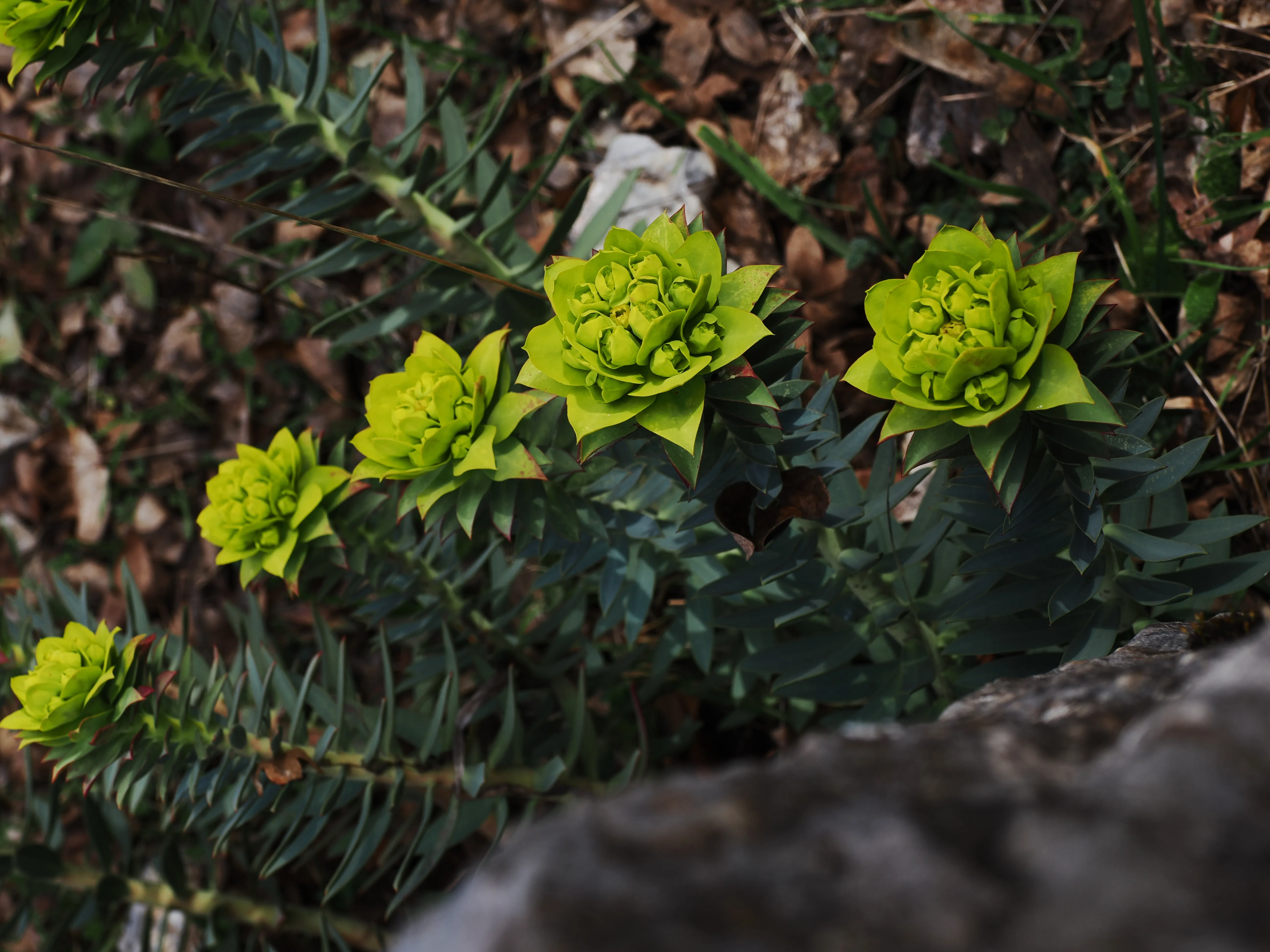 Dentro le Madonie con Matteo Orlando. Racconto visivo tra bellezza e mutamento