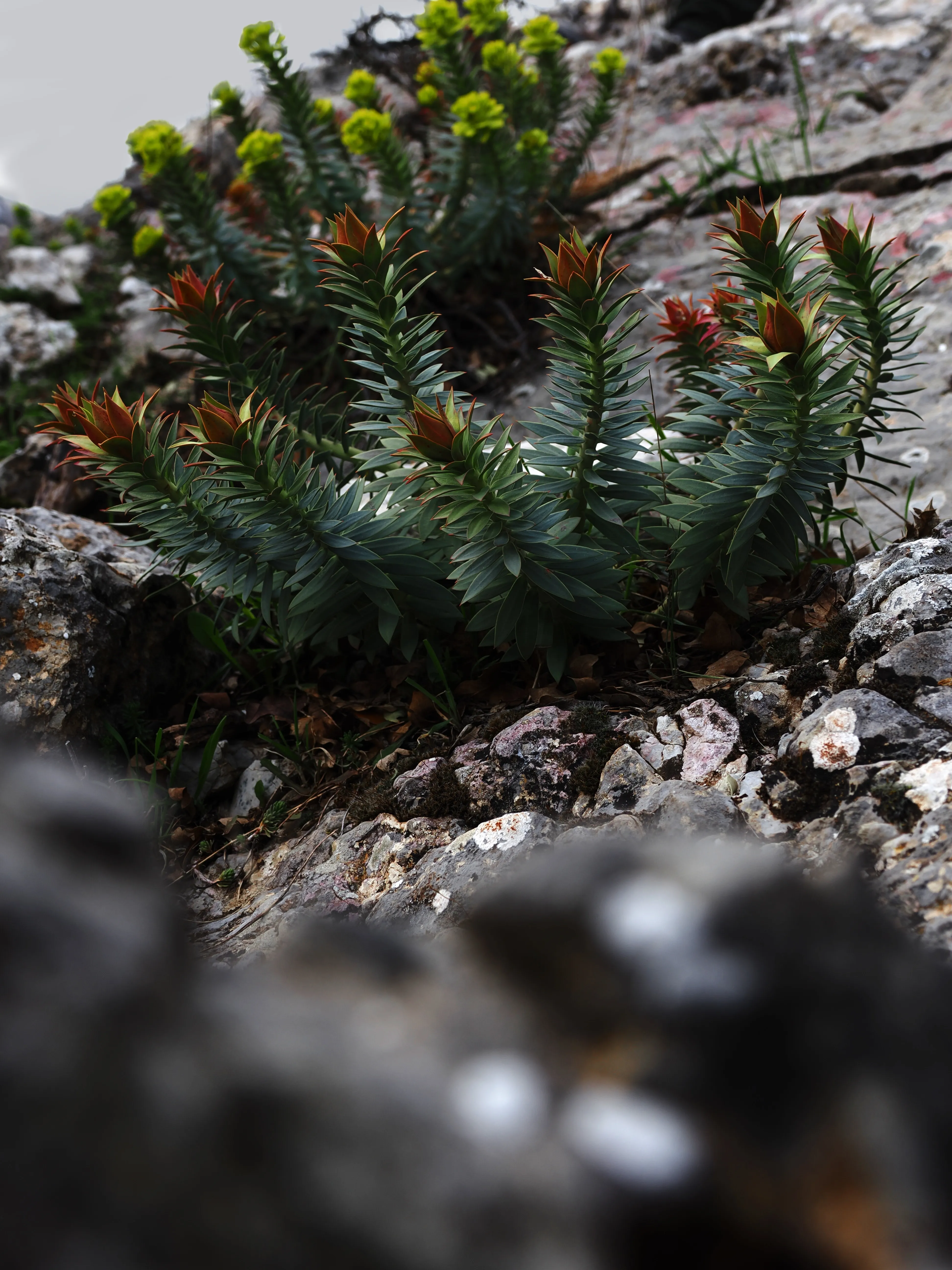 Dentro le Madonie con Matteo Orlando. Racconto visivo tra bellezza e mutamento