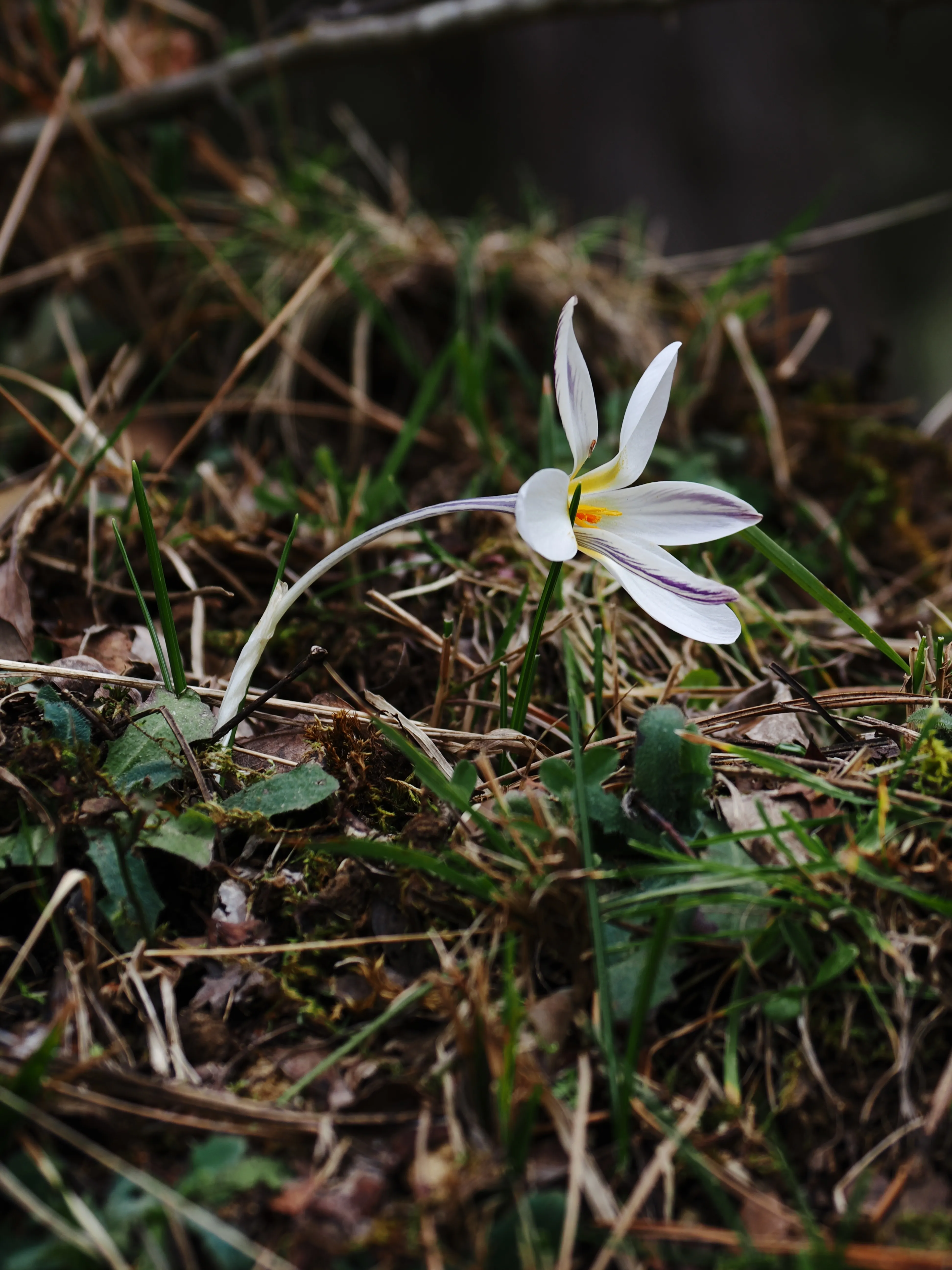 Dentro le Madonie con Matteo Orlando. Racconto visivo tra bellezza e mutamento