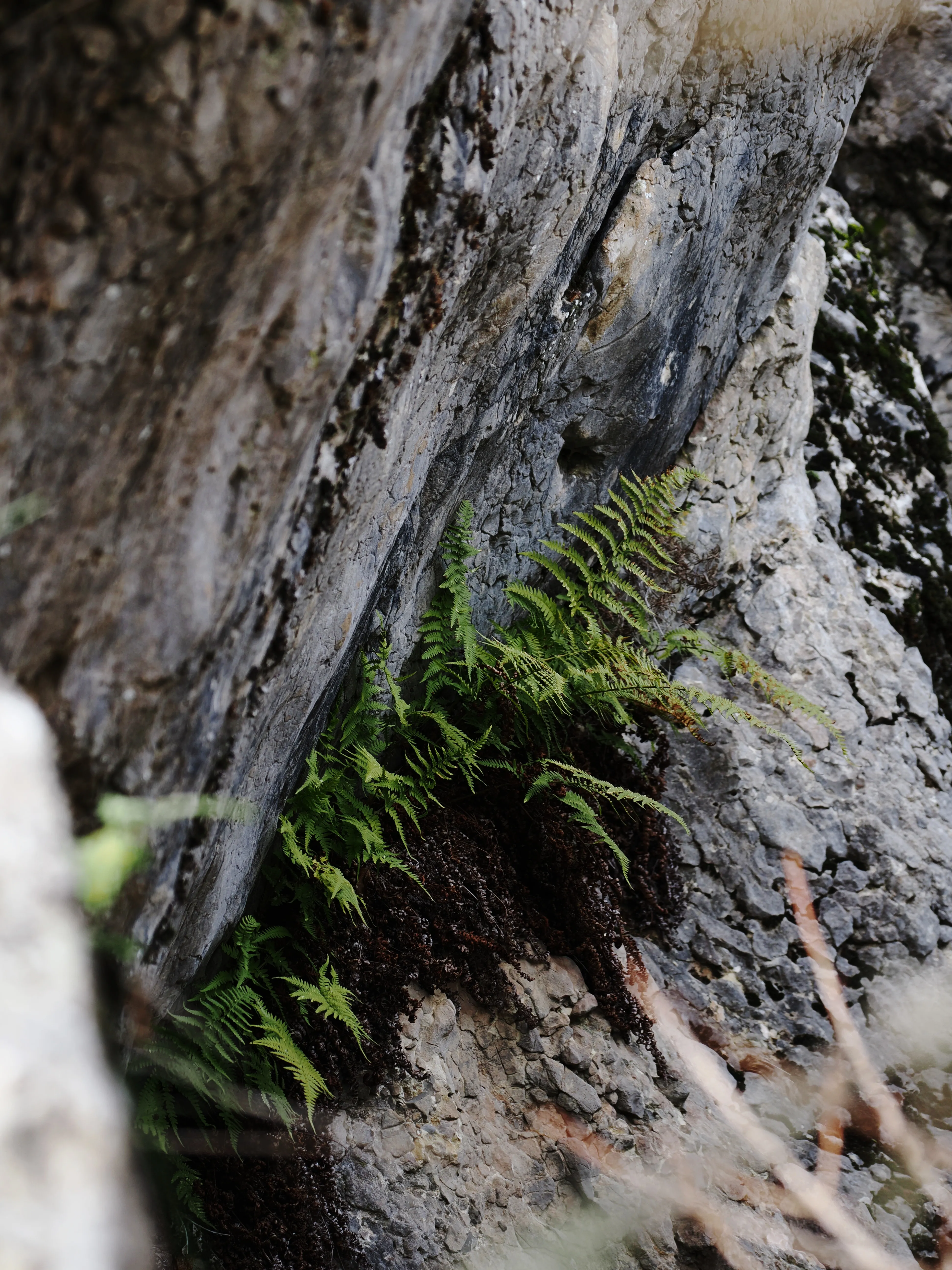 Dentro le Madonie con Matteo Orlando. Racconto visivo tra bellezza e mutamento