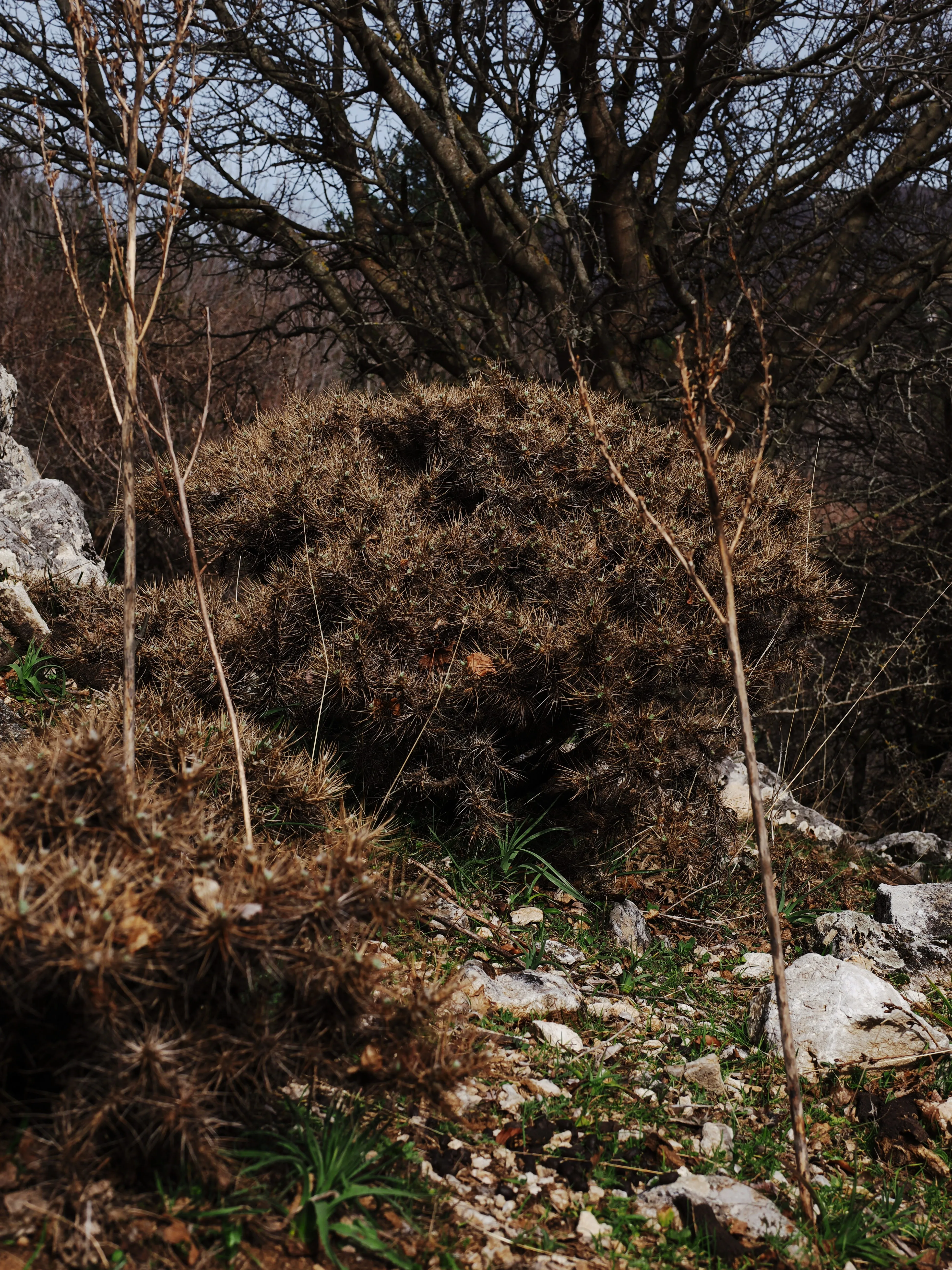 Dentro le Madonie con Matteo Orlando. Racconto visivo tra bellezza e mutamento