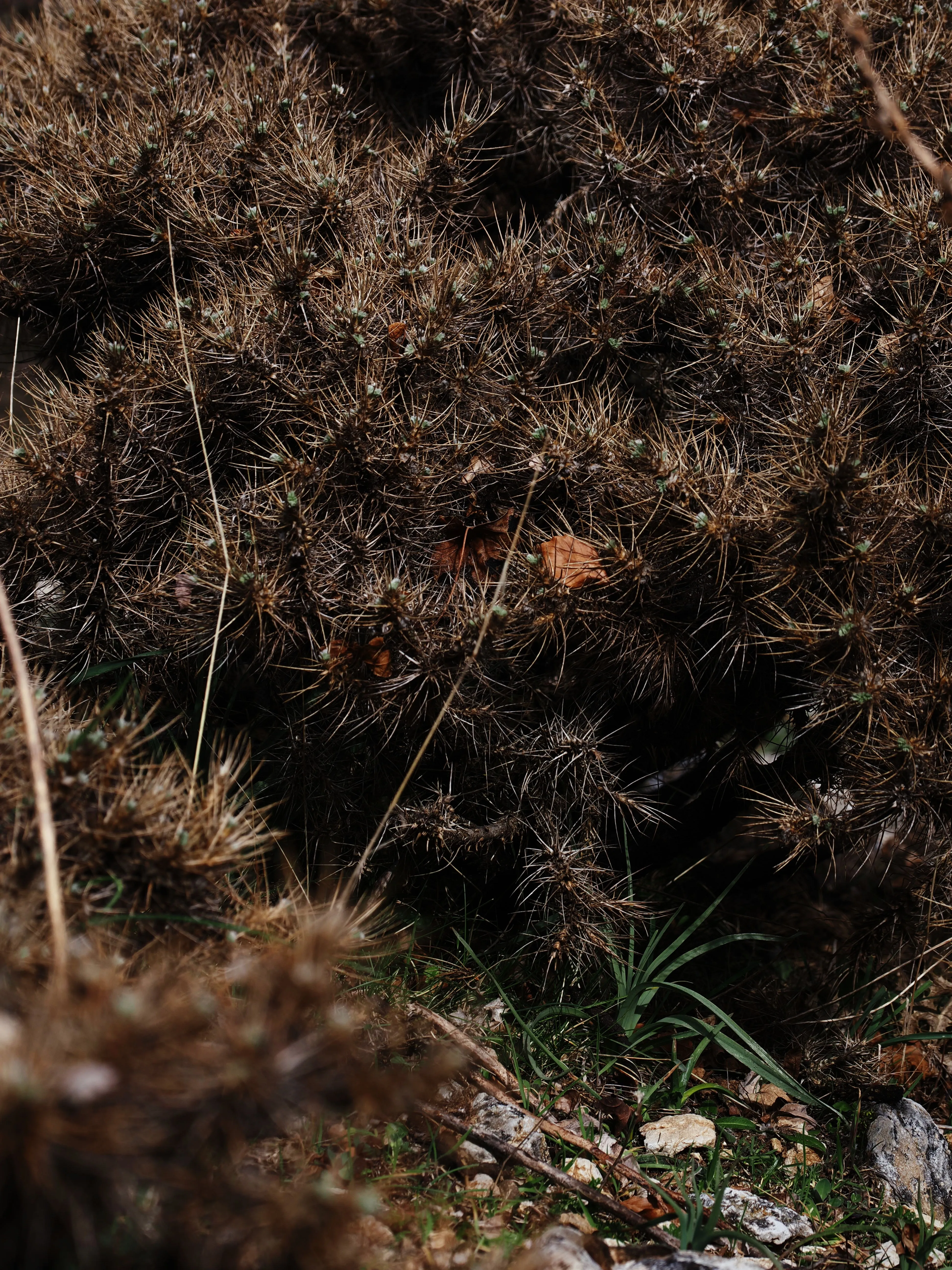 Dentro le Madonie con Matteo Orlando. Racconto visivo tra bellezza e mutamento