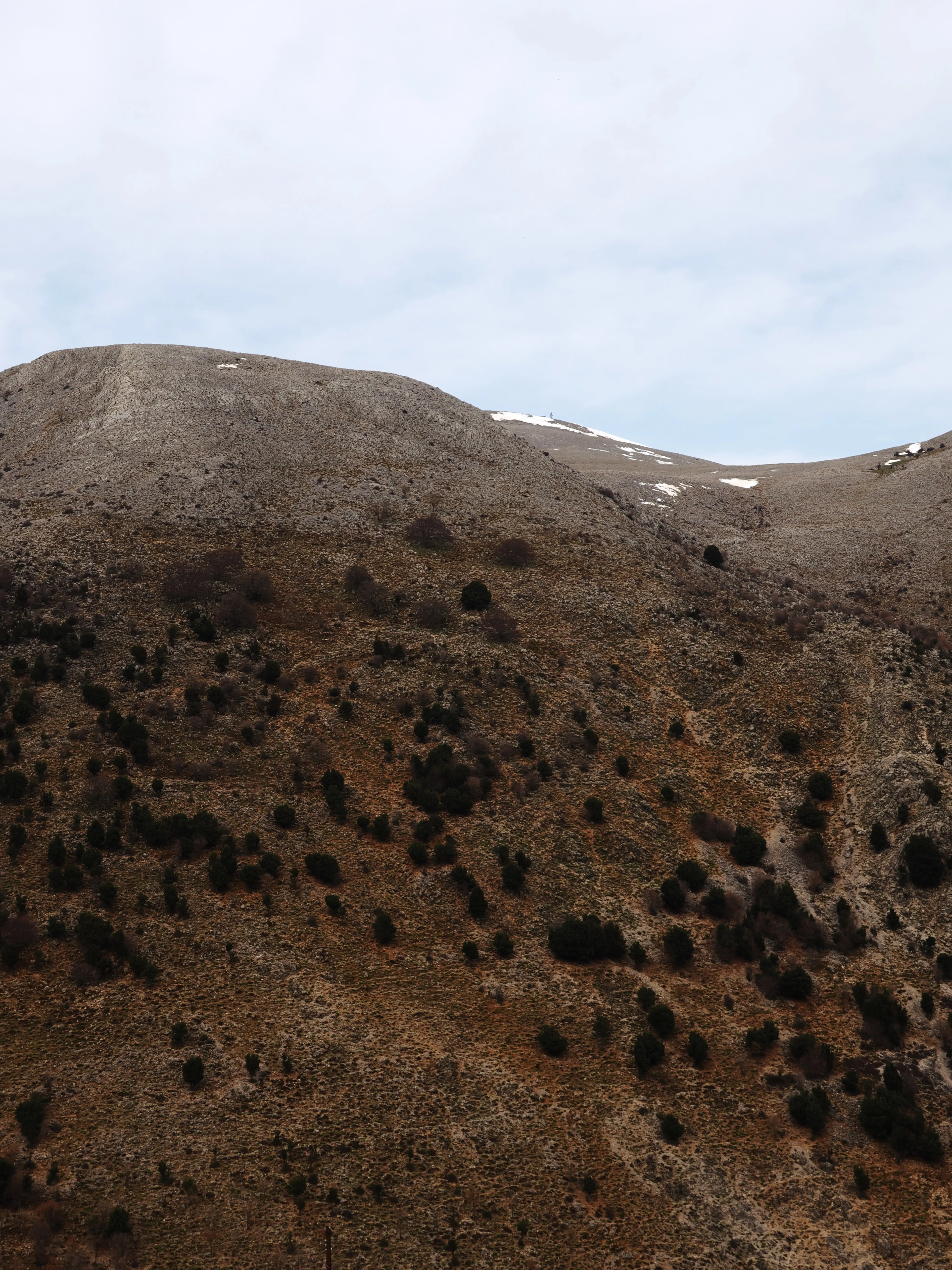 Dentro le Madonie con Matteo Orlando. Racconto visivo tra bellezza e mutamento