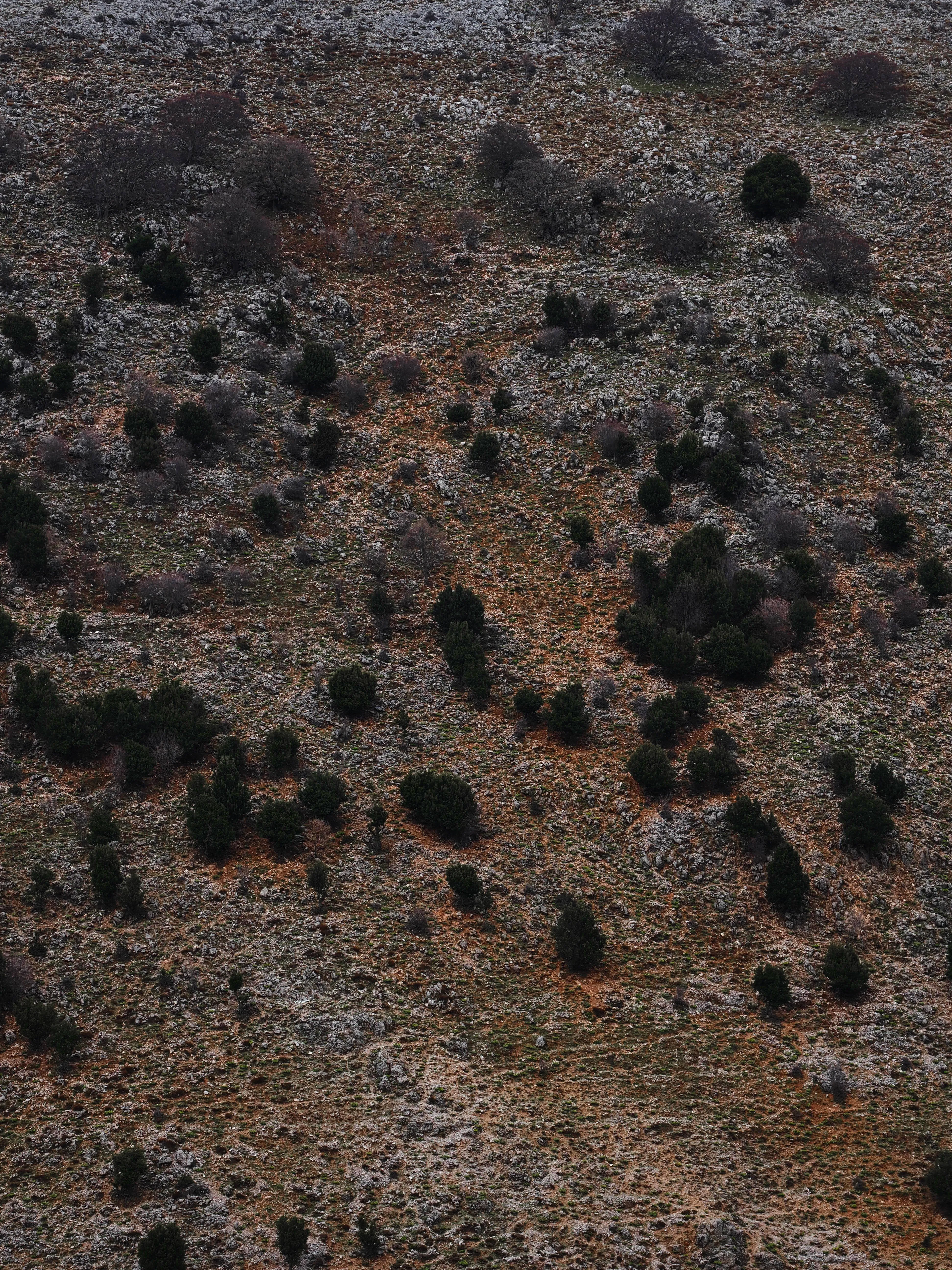 Dentro le Madonie con Matteo Orlando. Racconto visivo tra bellezza e mutamento