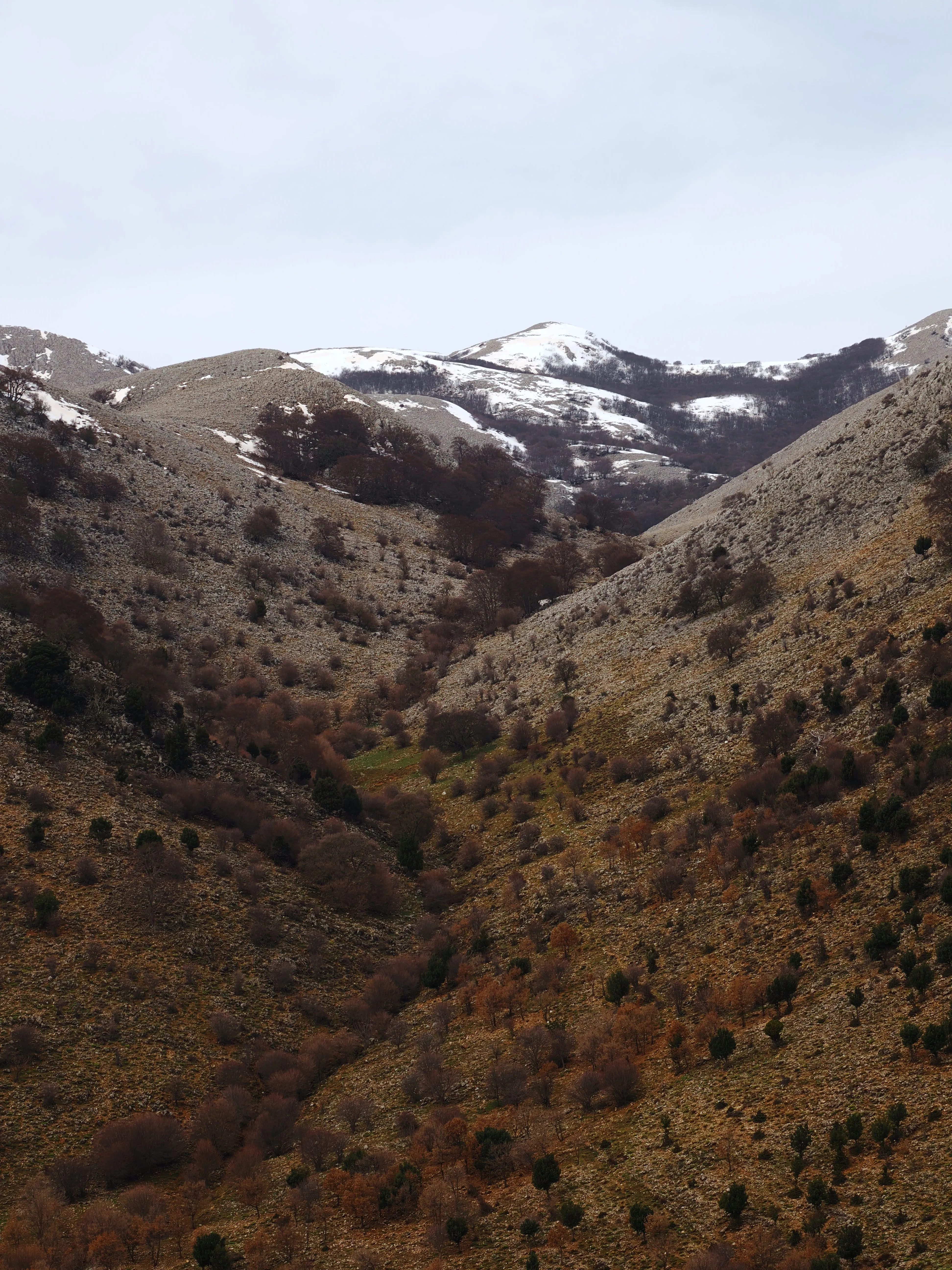 Dentro le Madonie con Matteo Orlando. Racconto visivo tra bellezza e mutamento