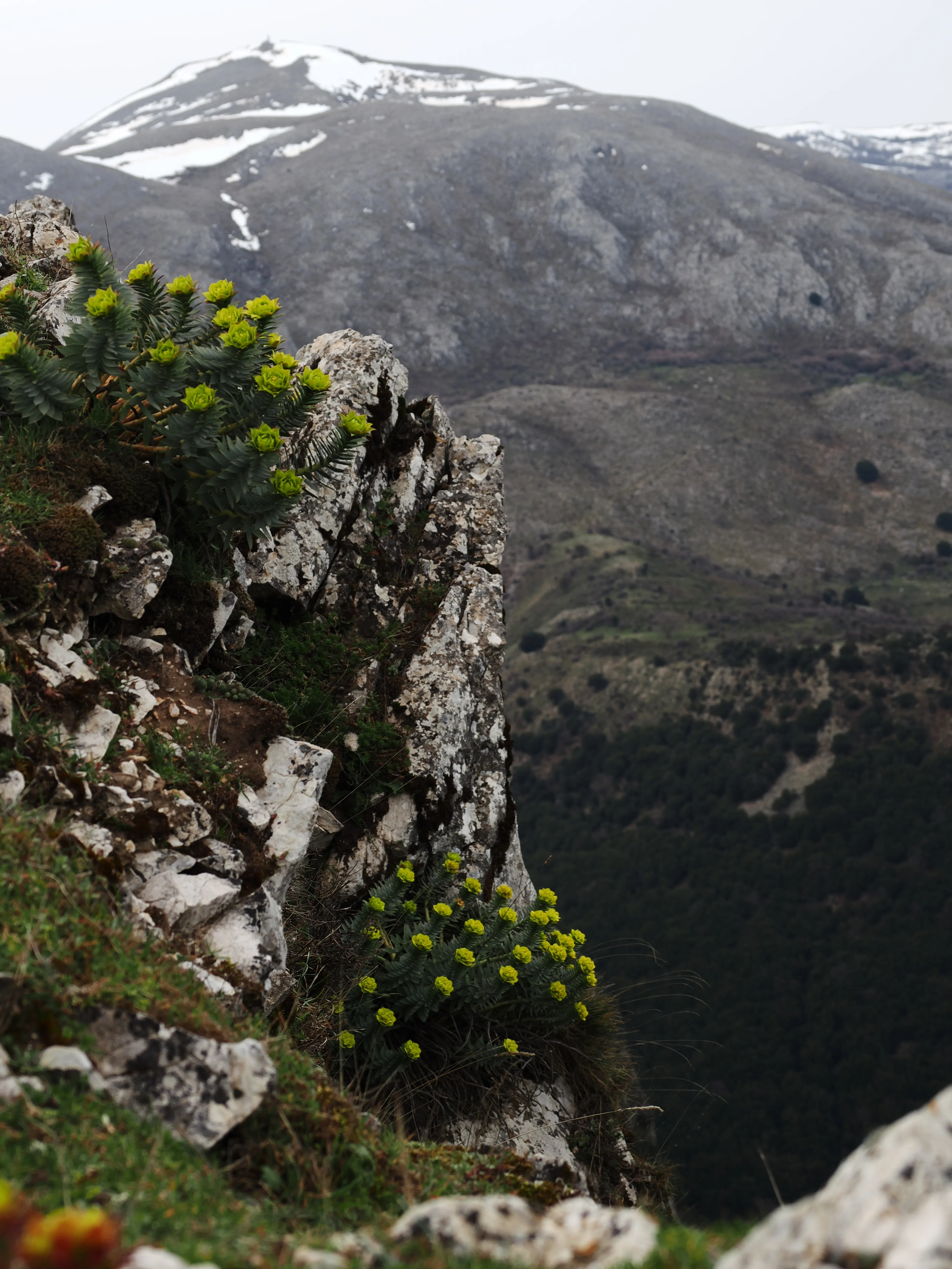 Dentro le Madonie con Matteo Orlando. Racconto visivo tra bellezza e mutamento